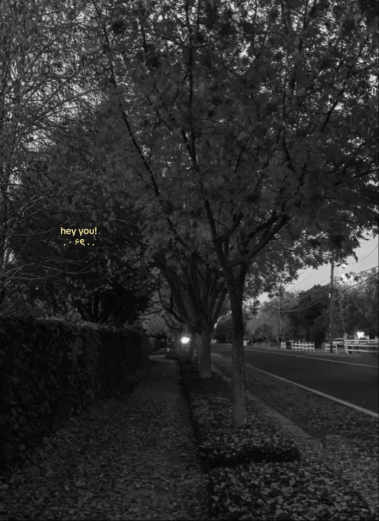 @⊙⊝⊜ᥫ᭡.ִֶָ𓂃
