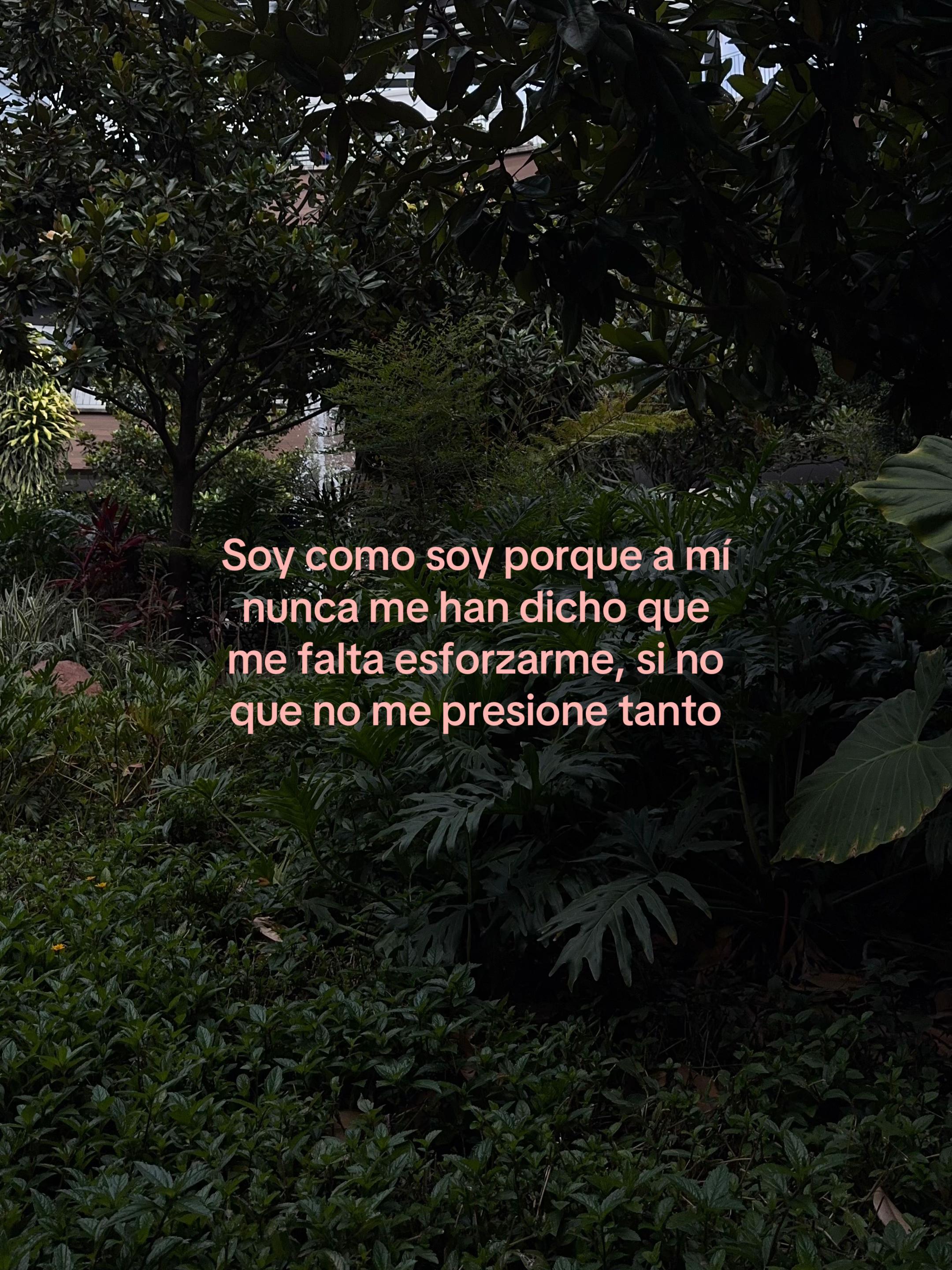 @serg¡o