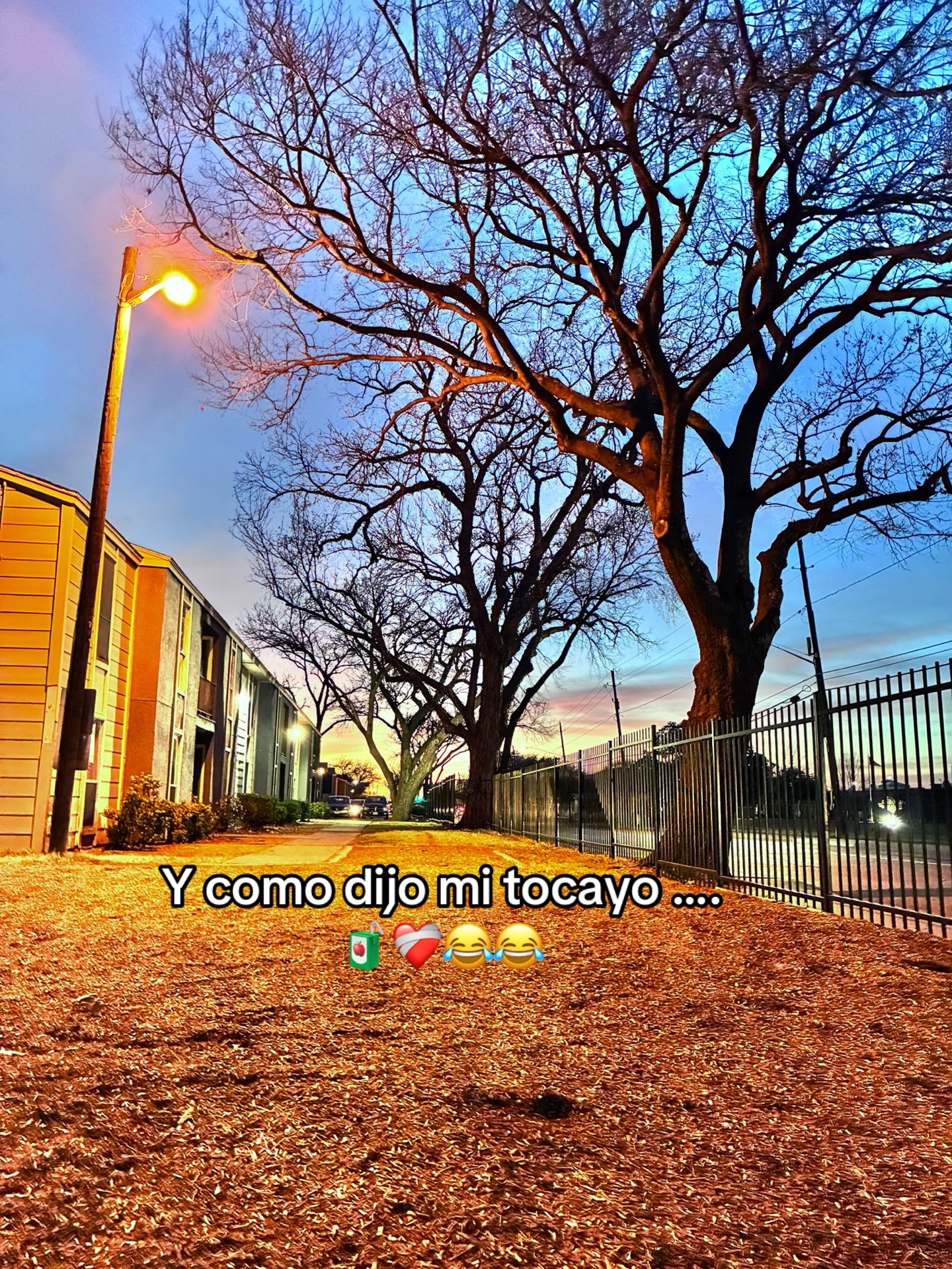 @Byron Ch