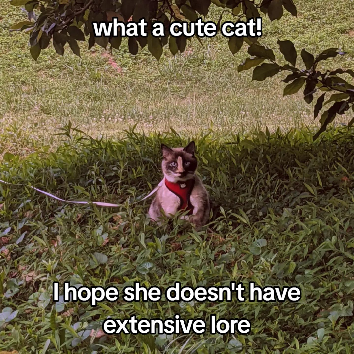 @Rose