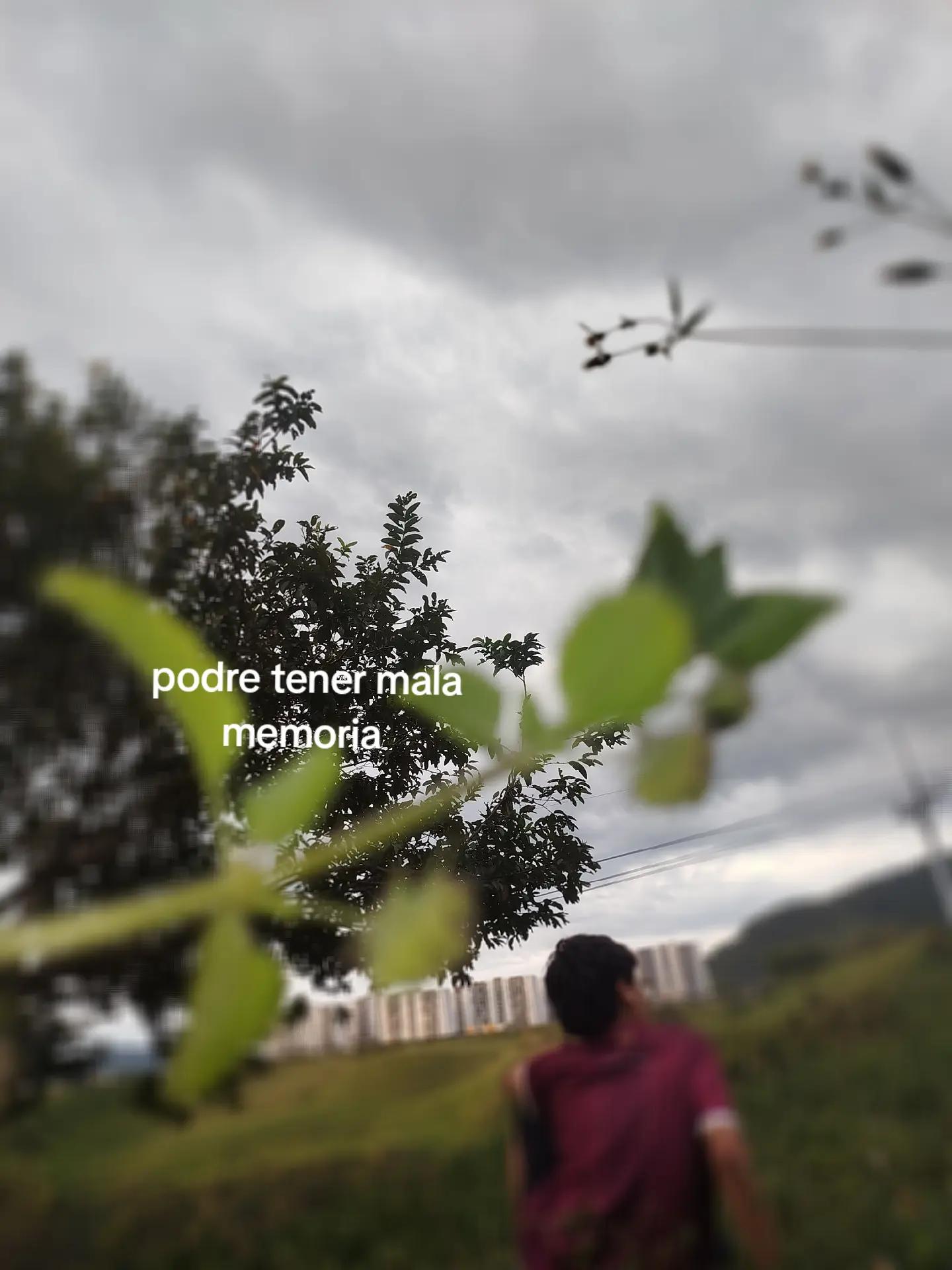 @𝕵 𝕽𝖚𝖇𝖎𝖔