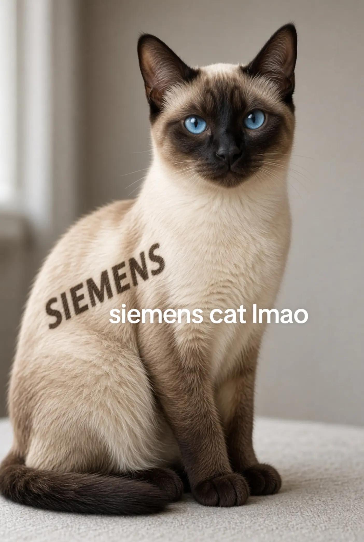 @Siemens iQ500
