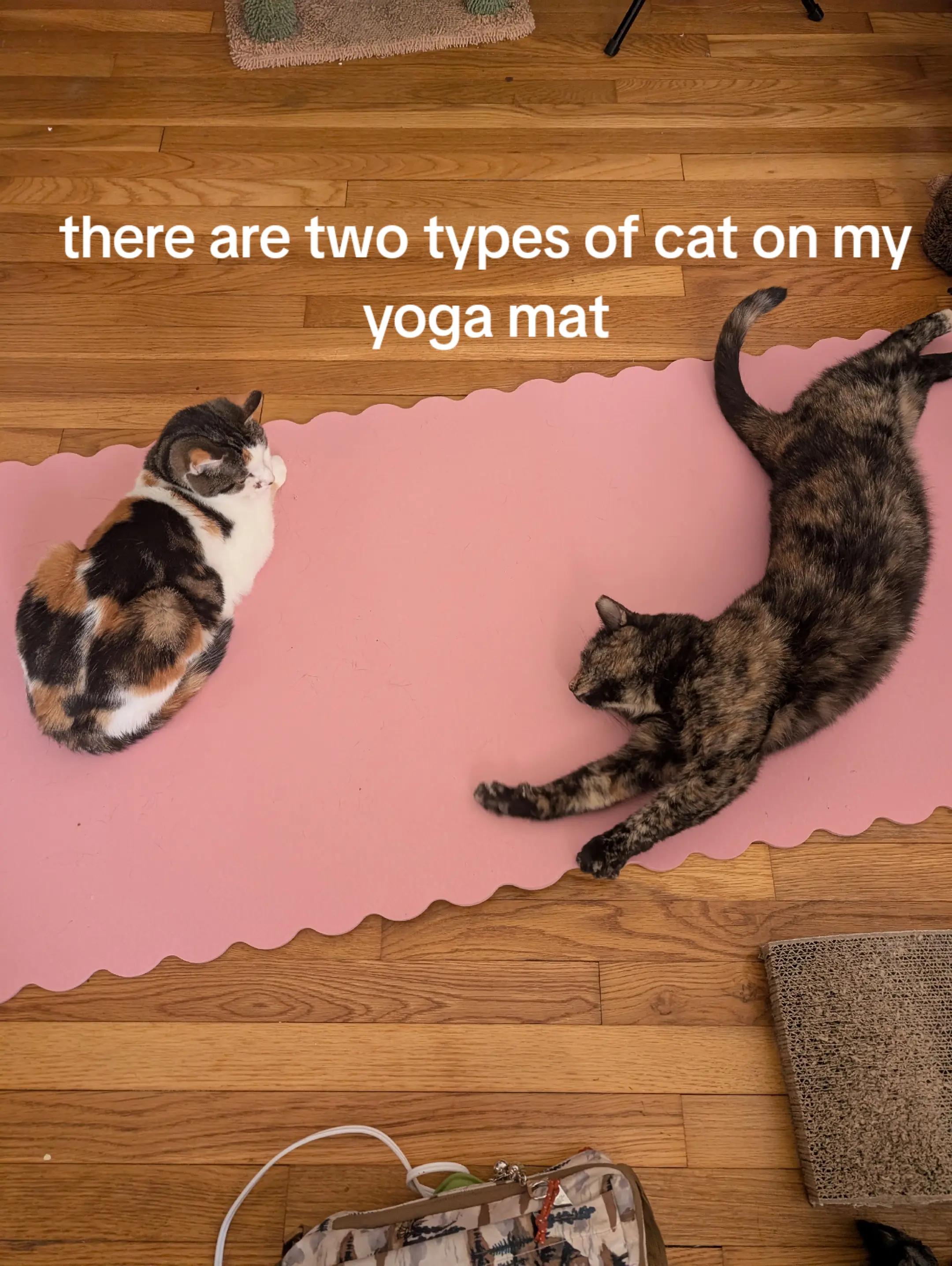 @Carly Coleman 👽⚙️🦠 author