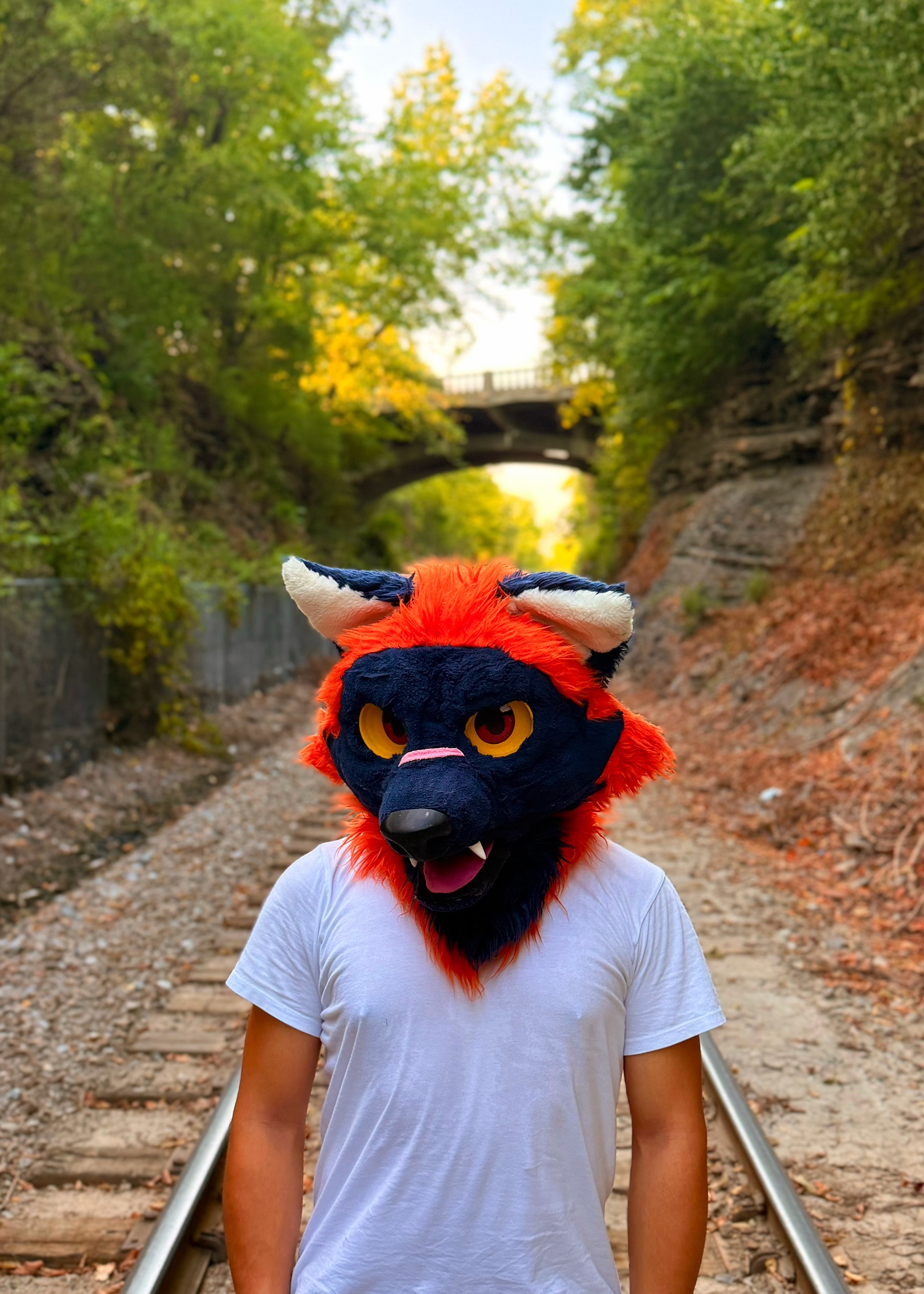 @Burnt Fox Toast - COMMS OPEN