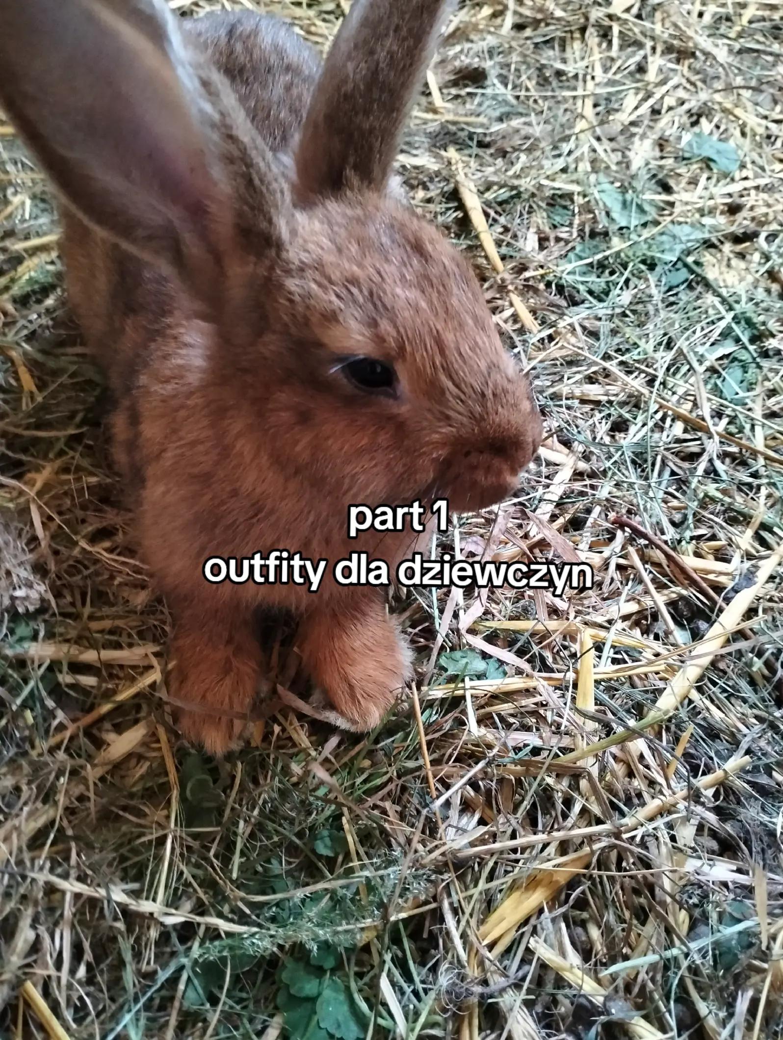 @๐ค๐ฝ๐๐๐'๐_๐๐๐๐๐๐๐ค