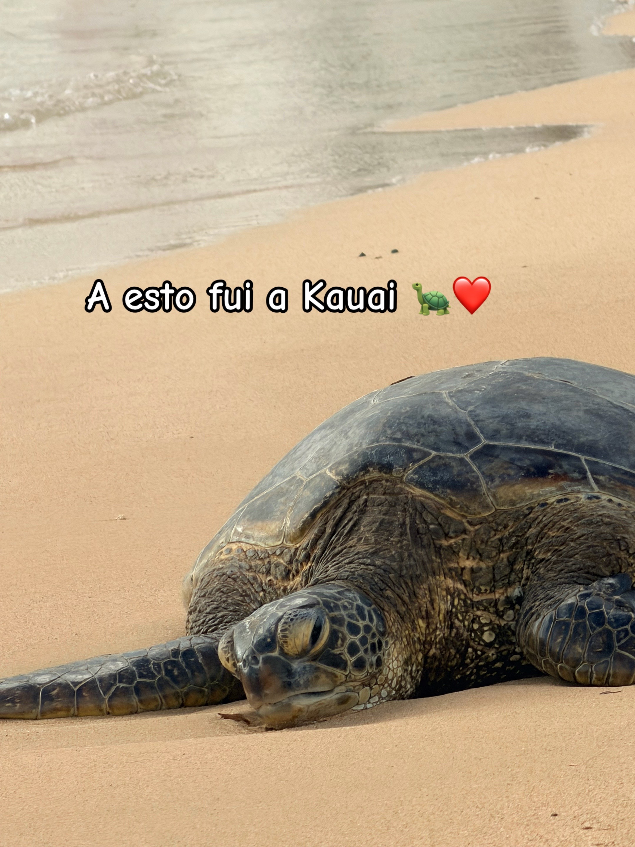 @꧁💫 𝓛𝓪 𝓥𝓲𝓮𝓳𝓸𝓷𝓪 50 💫꧂