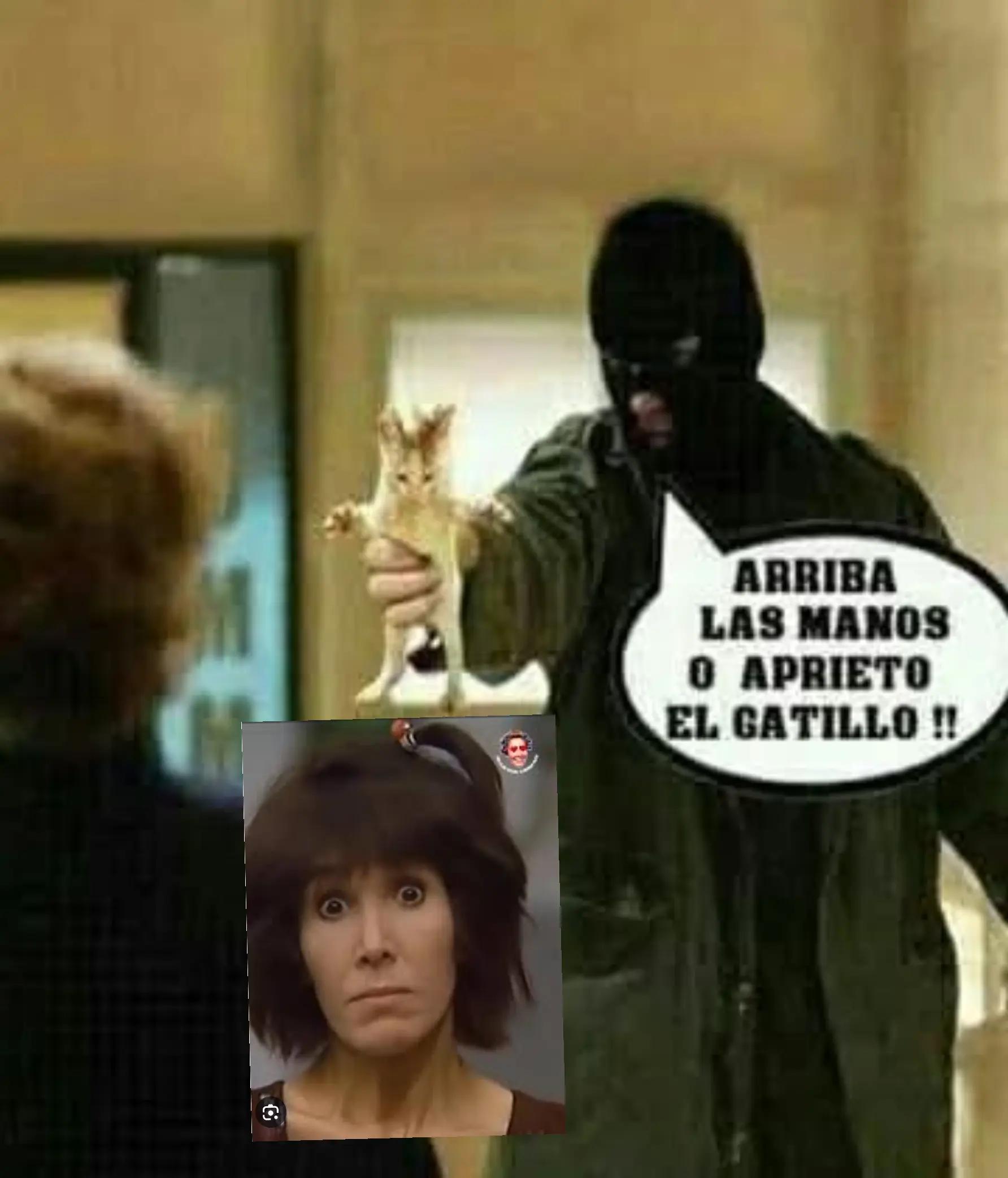 @shimostrufia