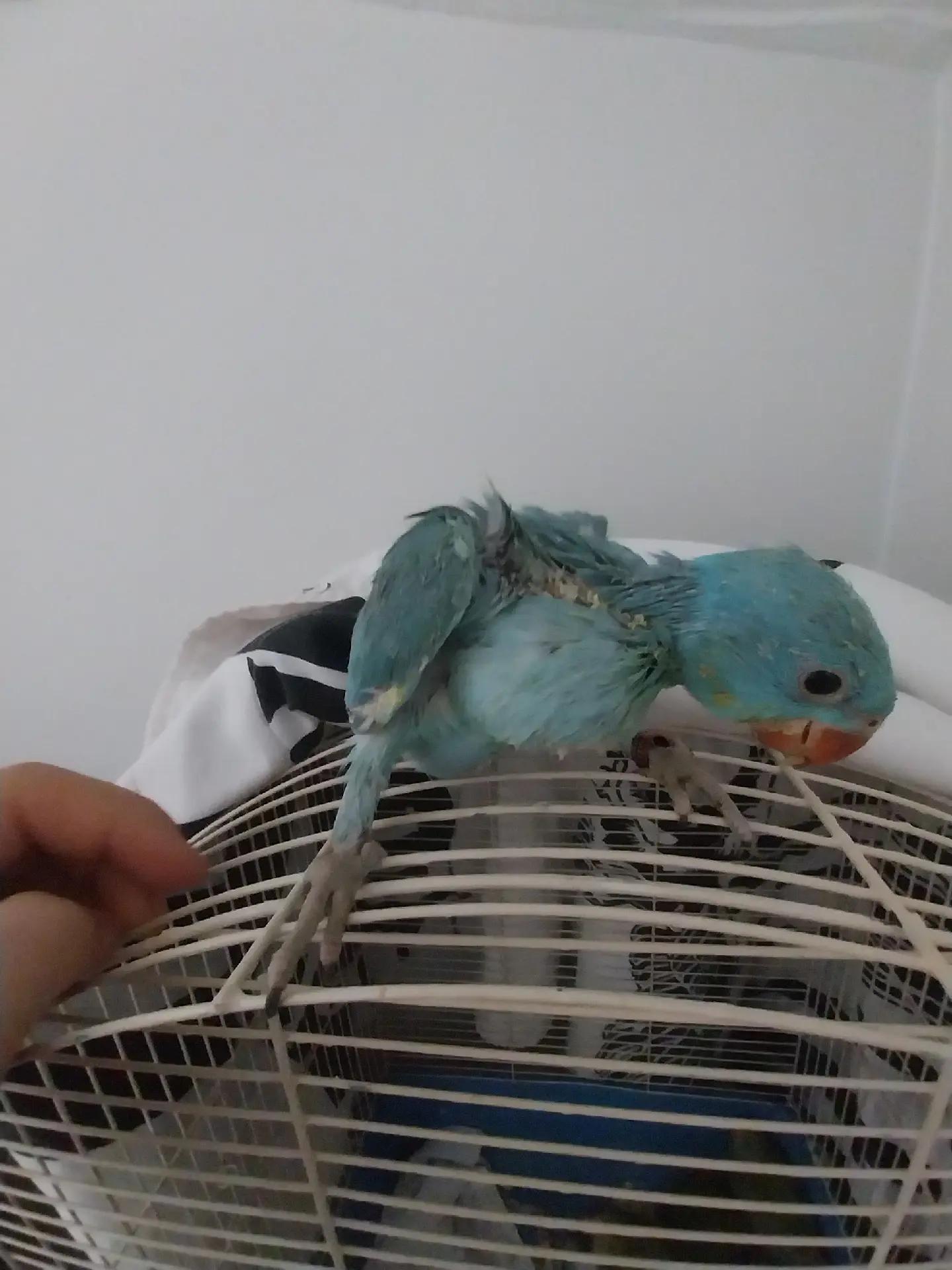 @melihhhhh