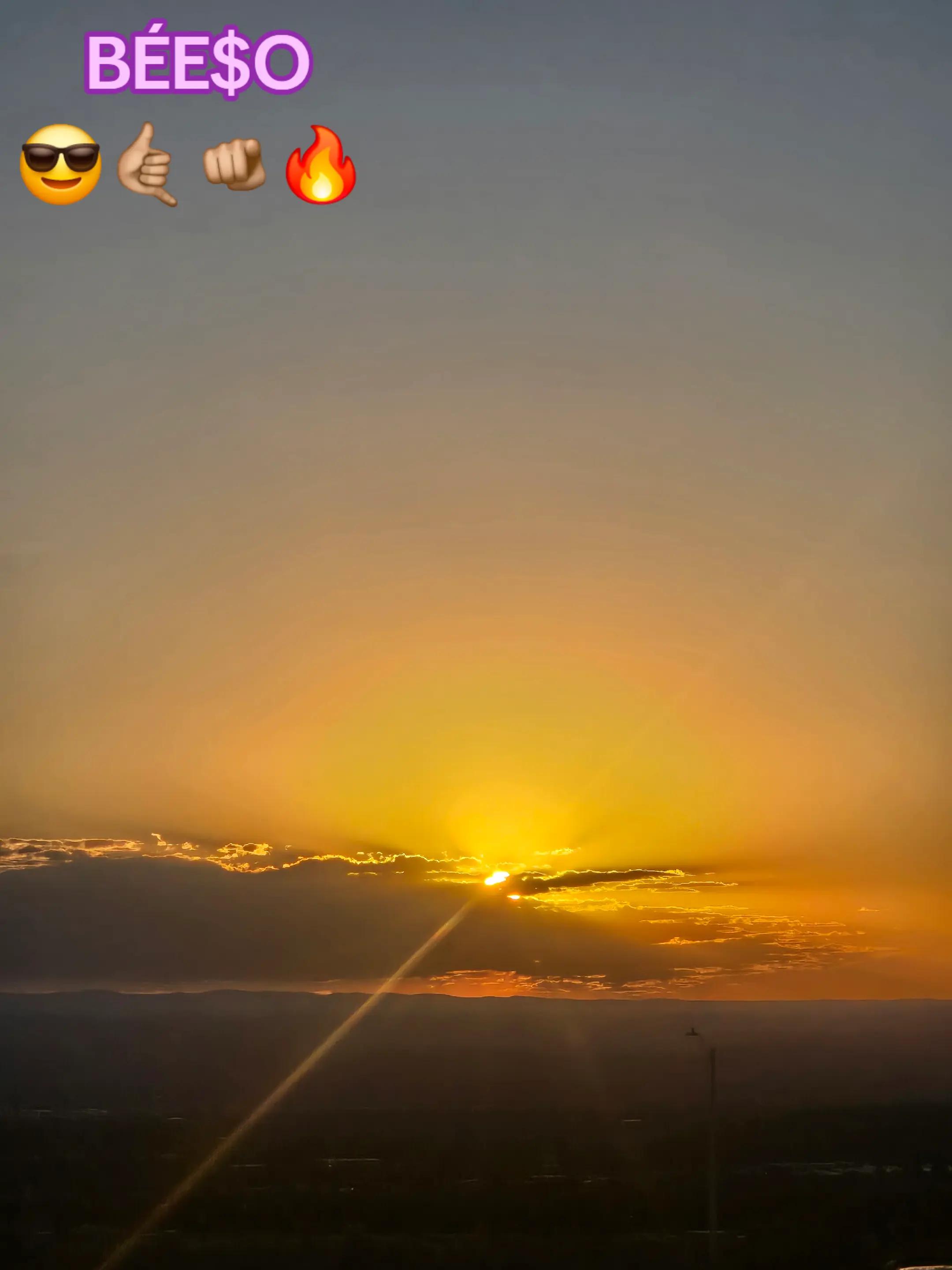 @mac7980