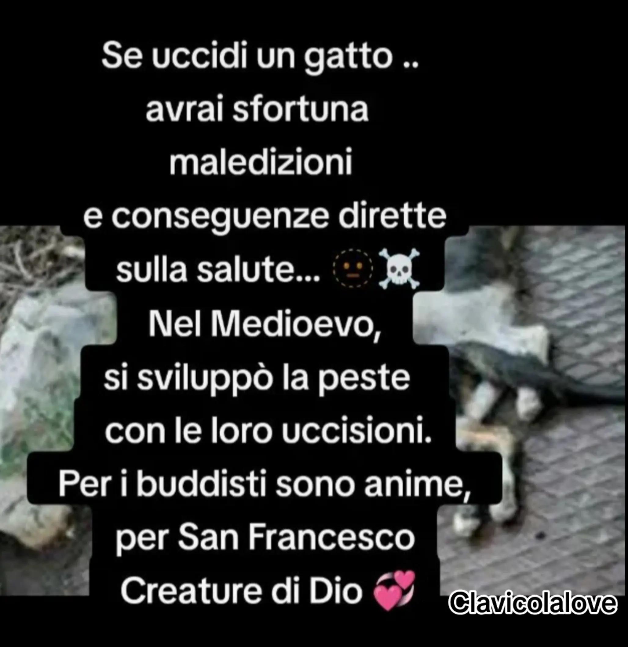@AntoCarrara
