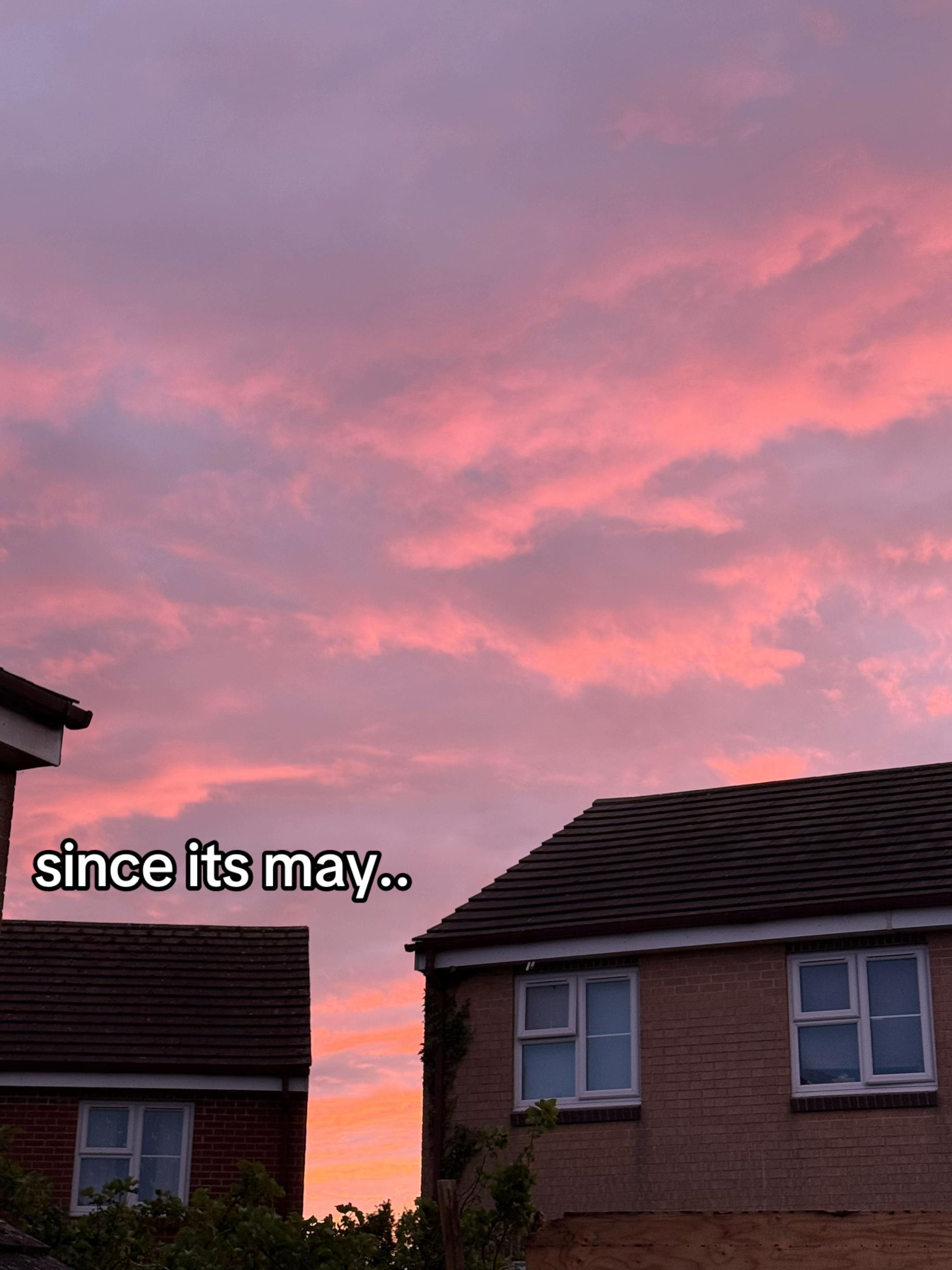 @han x