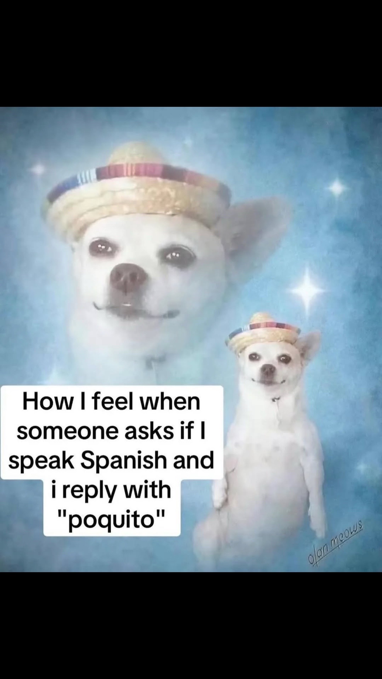 @Paco & Pedey