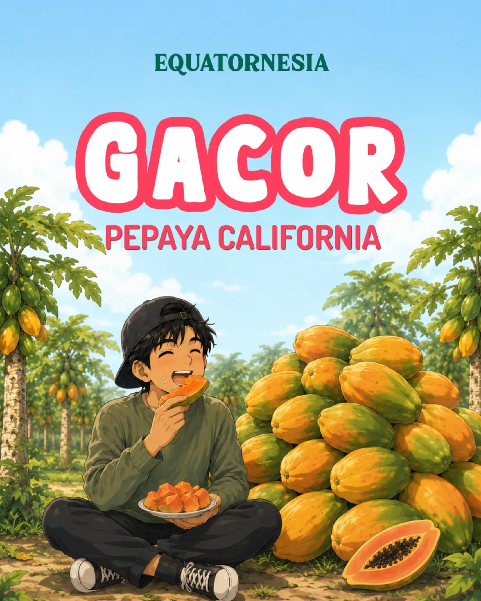 @Equatornesia