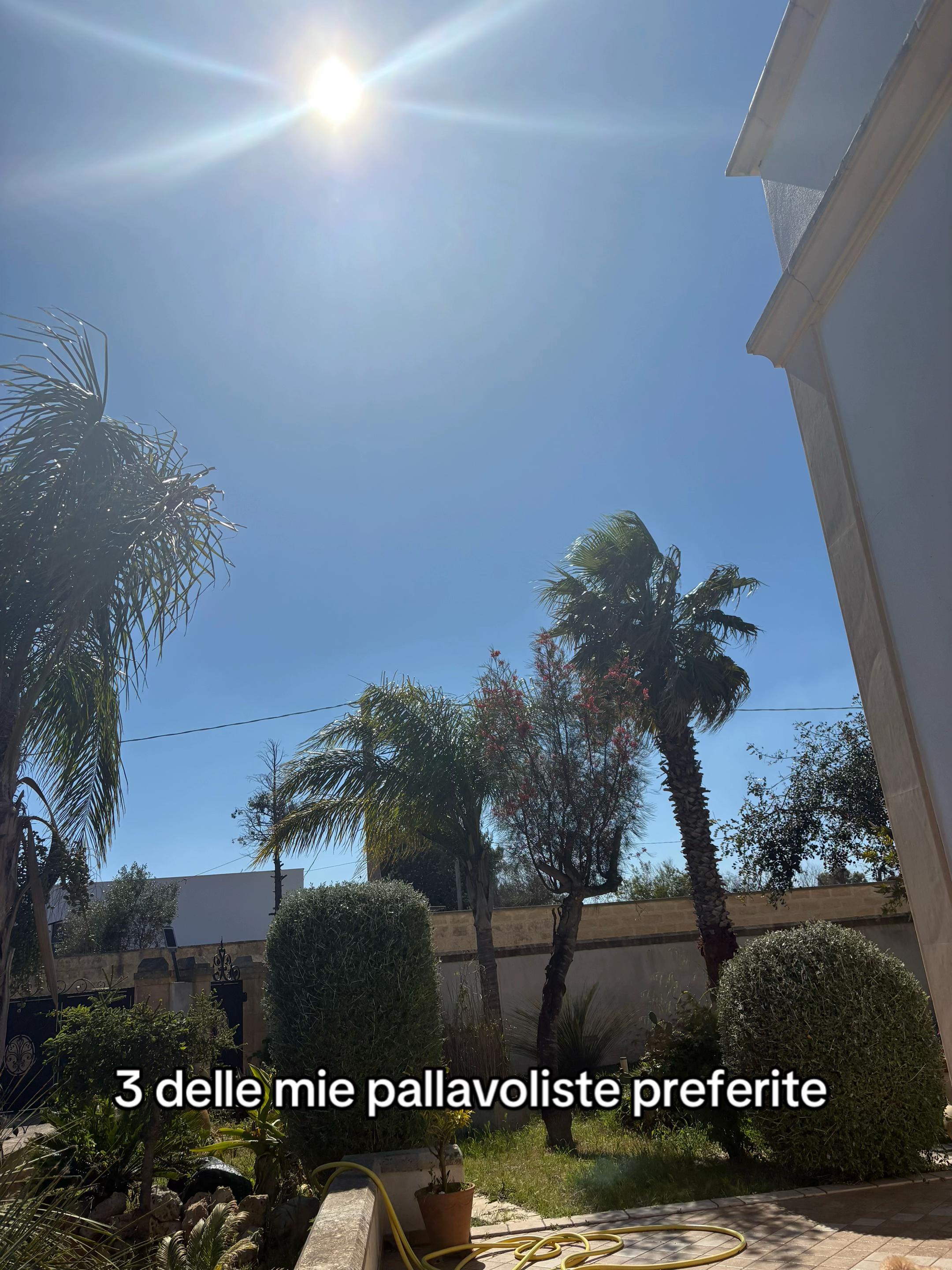 @giorgi&ordf;