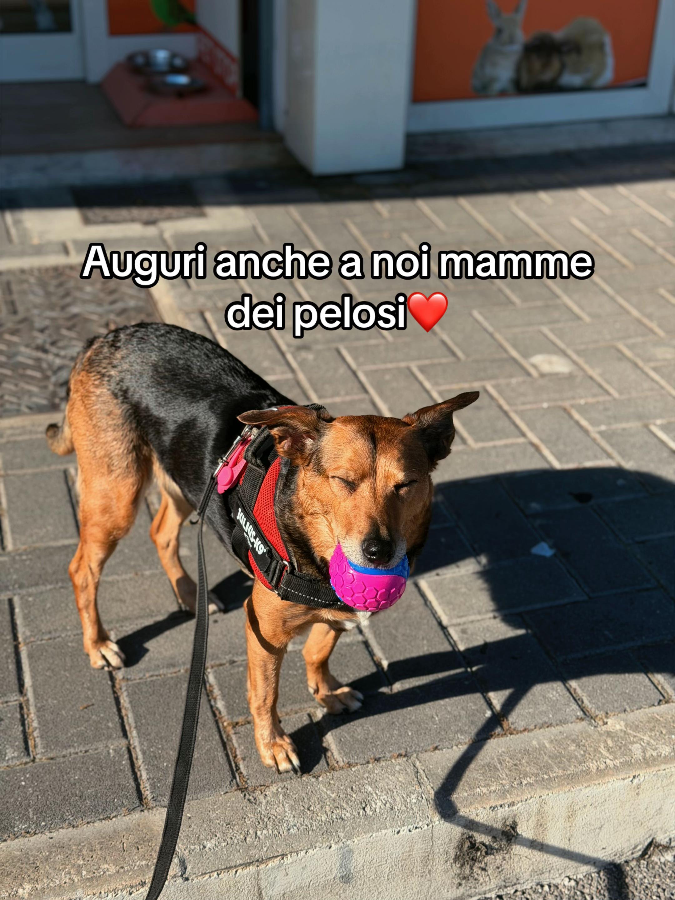 @Fra_le_nuvole_