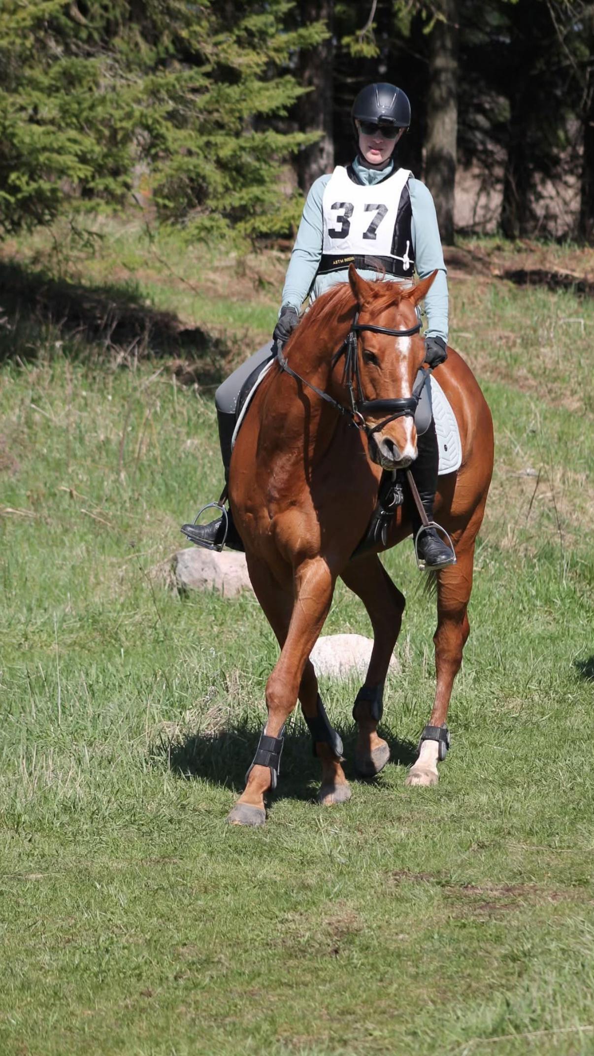 @Karin - Empower Equine app