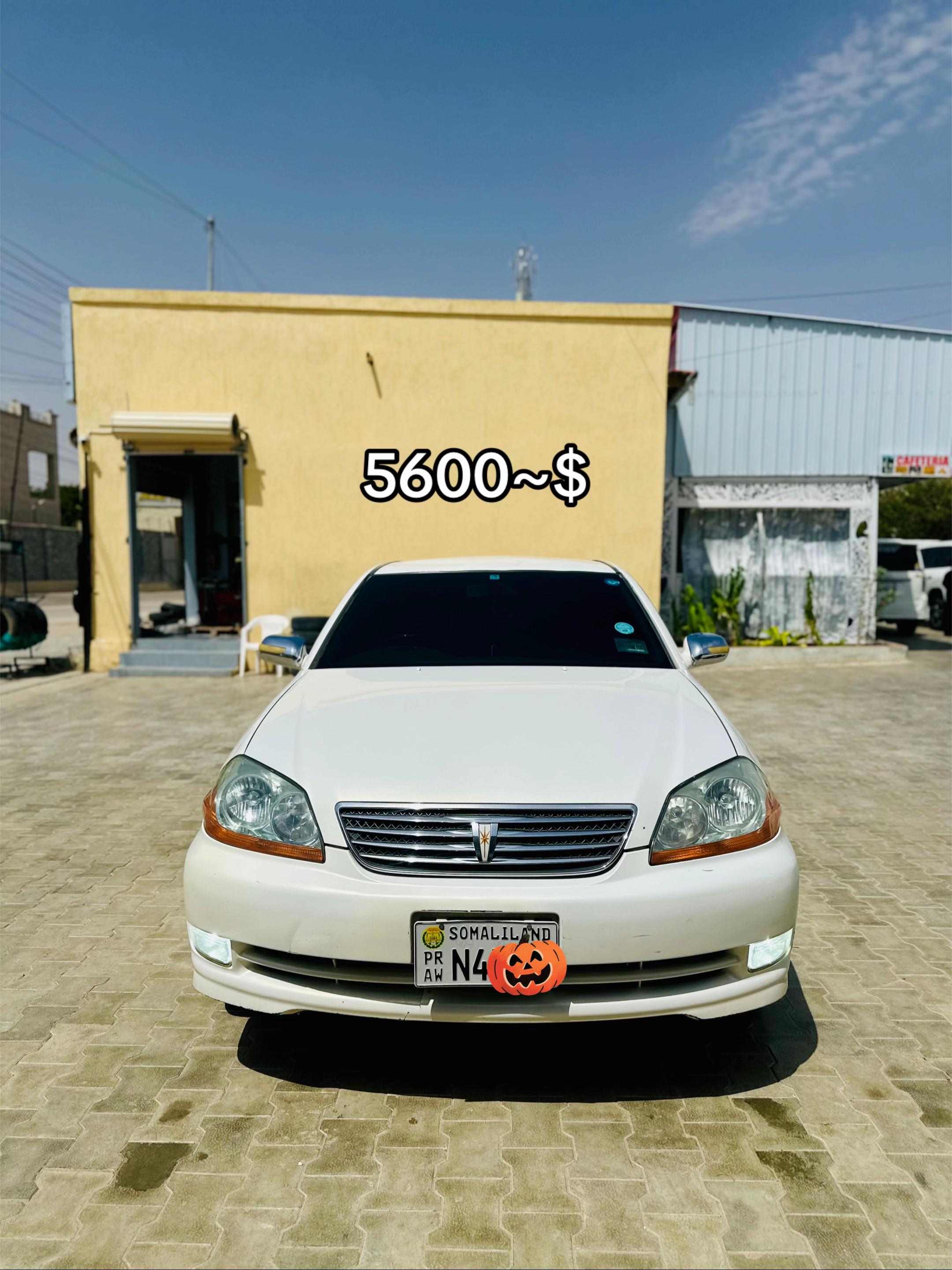 @DHEREYE AUTO