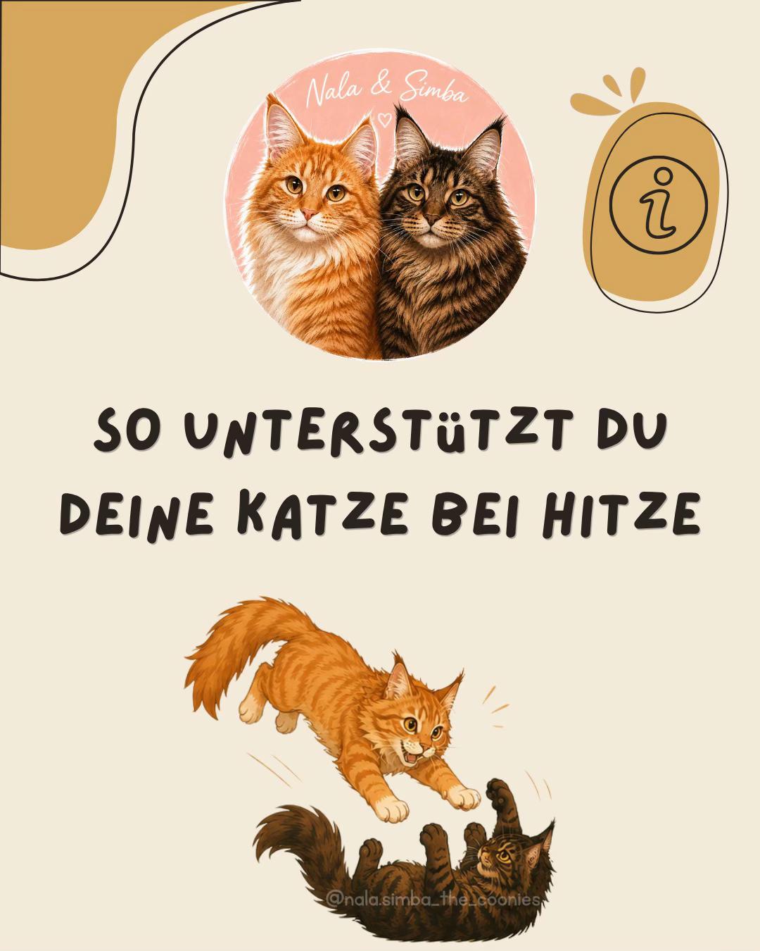 @Nala & Simba | Catcontent