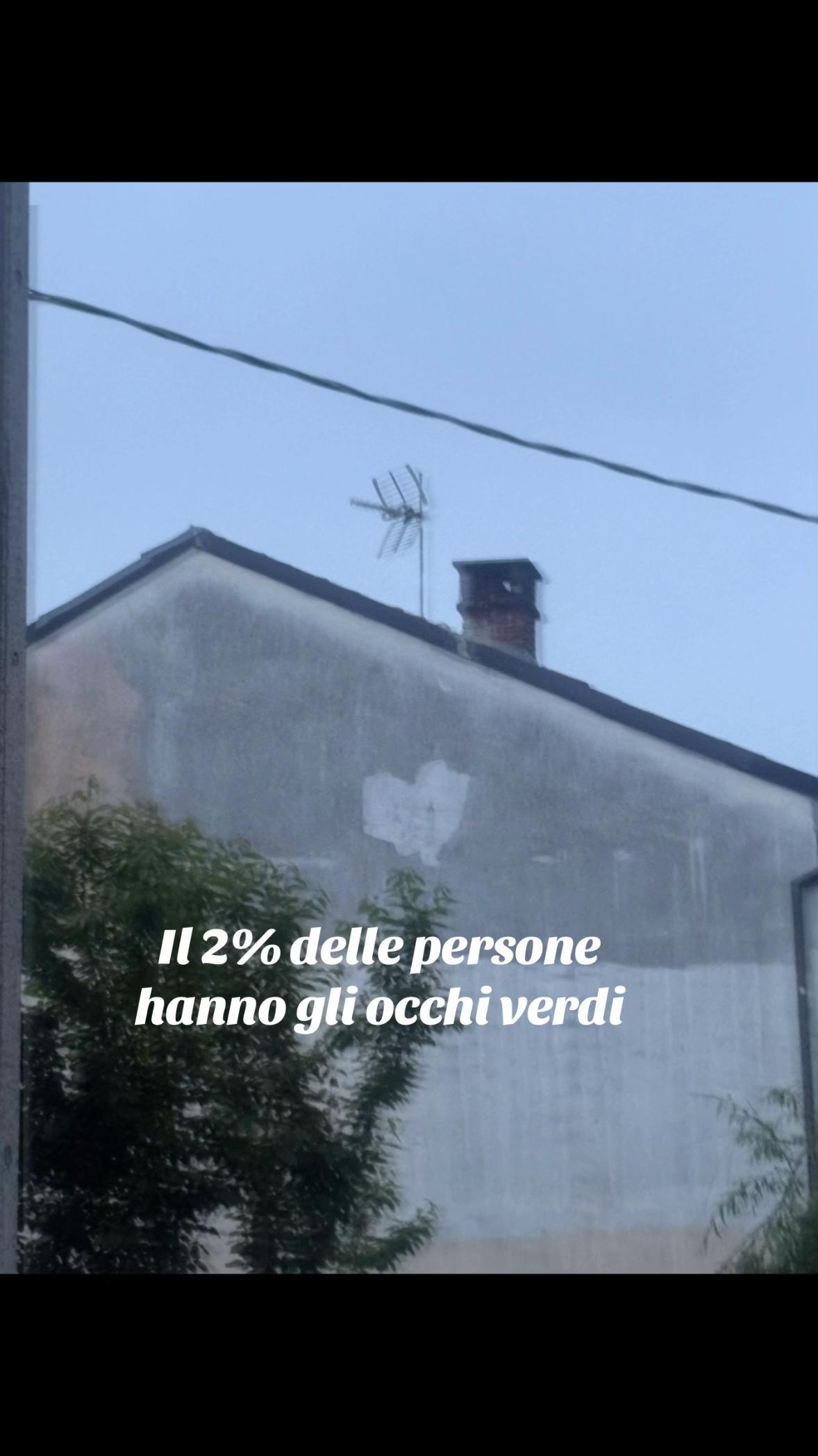 @gretuzza
