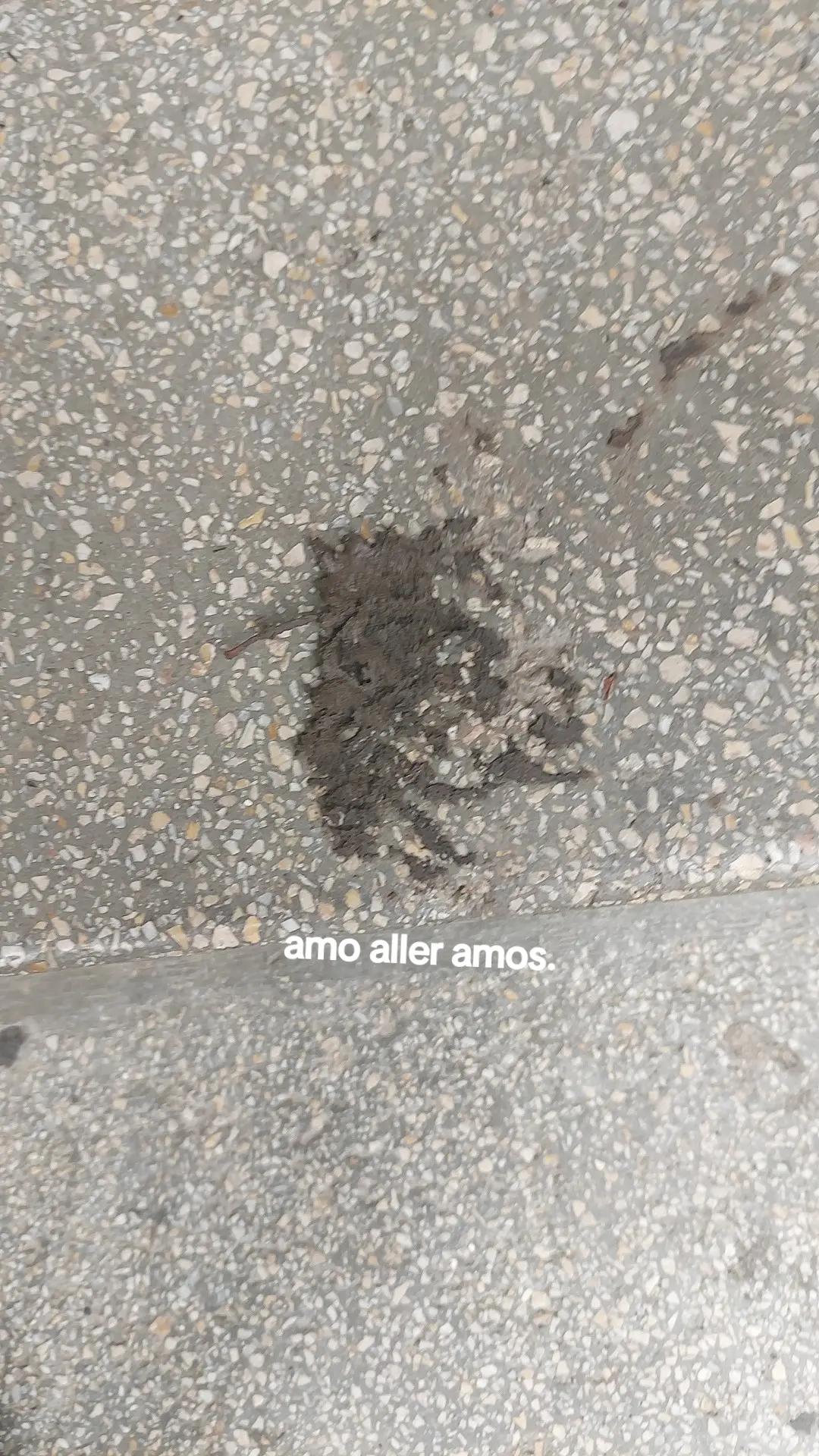 @Eduuuboom🪐🌍