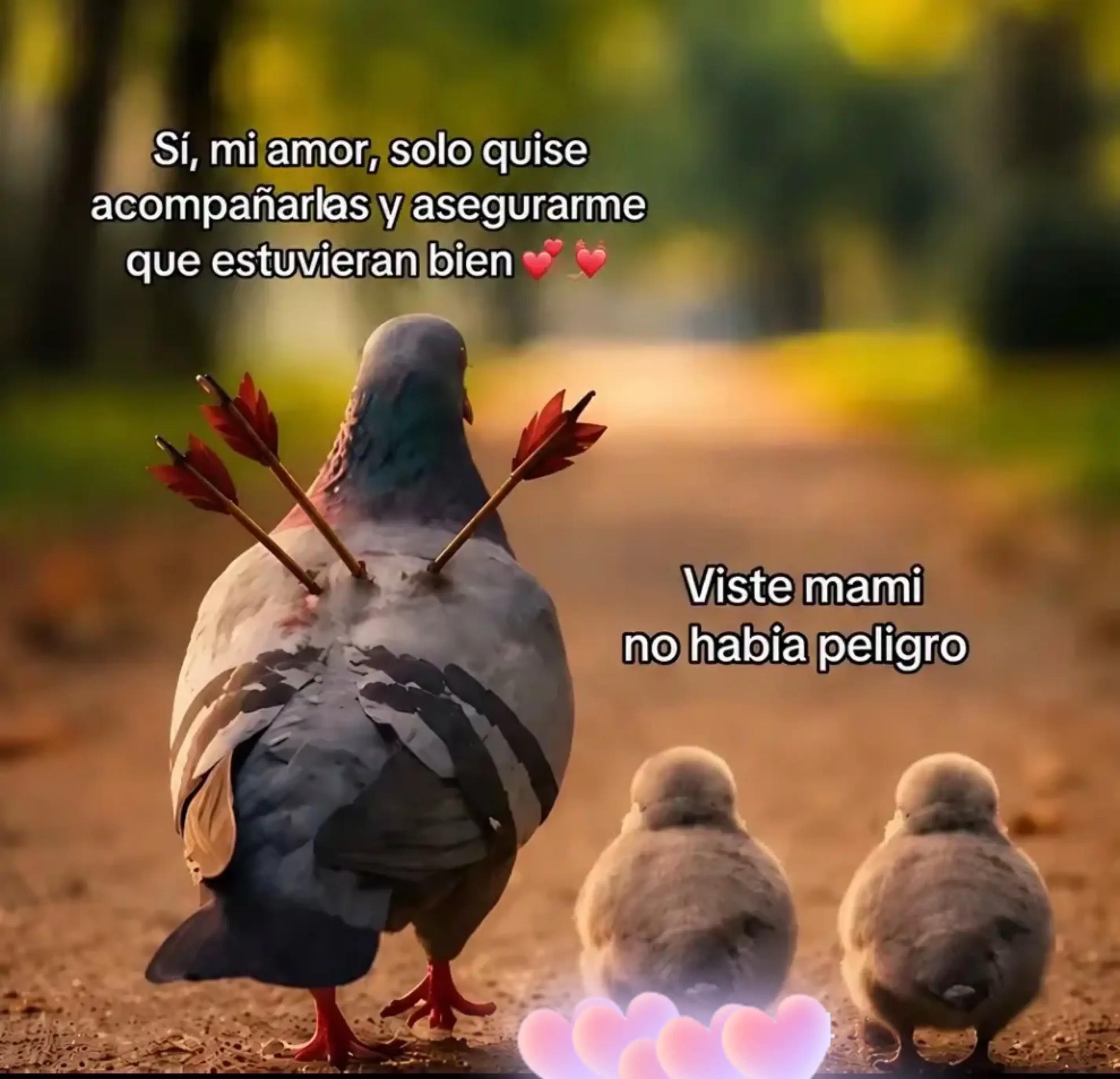 @poliana Marques