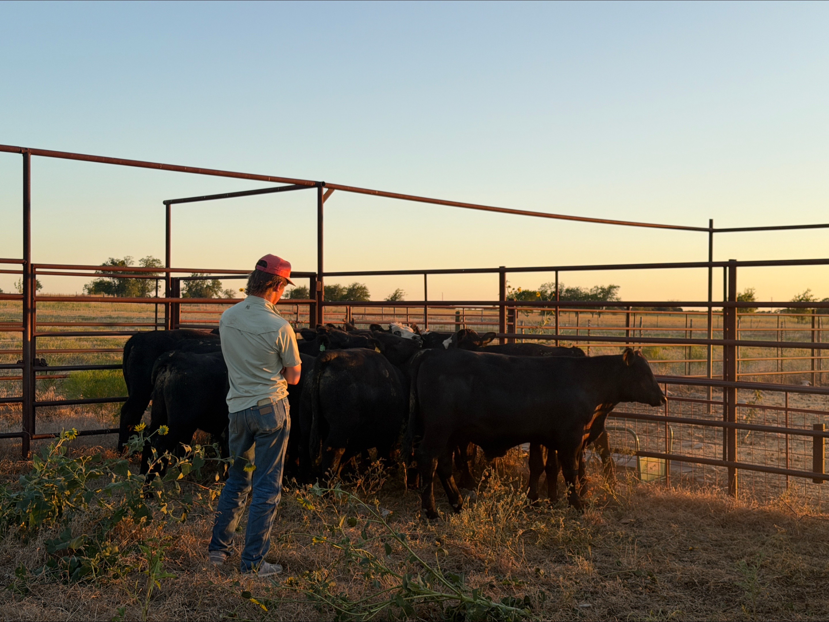 @Bar 7 Ranch