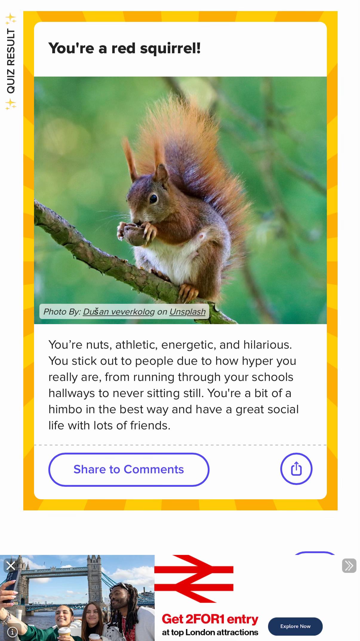 @squirrelover56