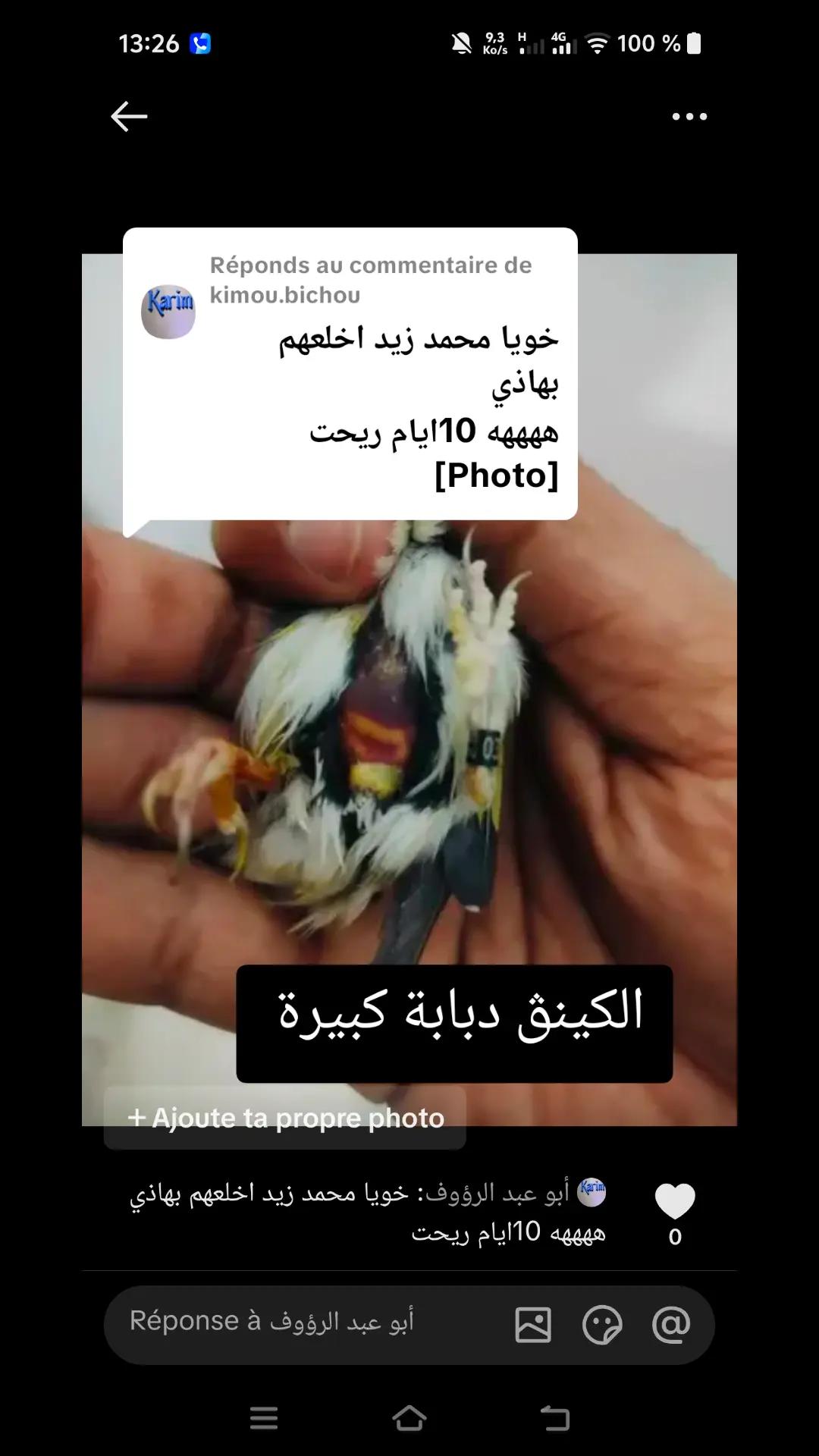 @King Mohamed 🐦