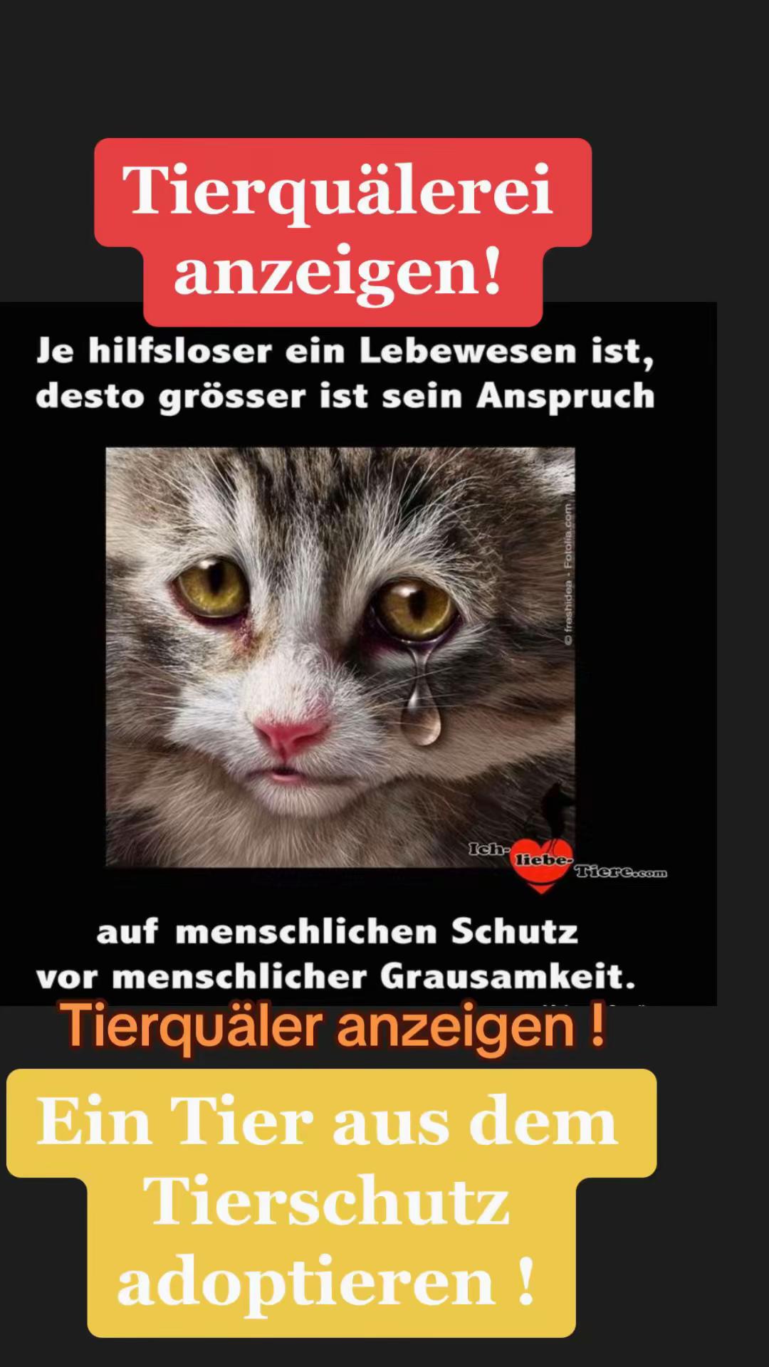 @❤️Ulla & Tiere❤️