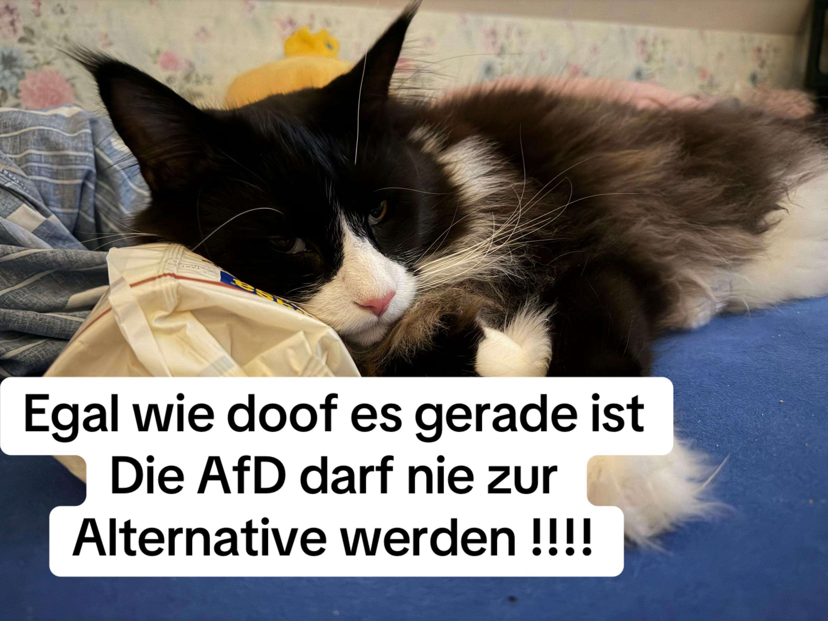 @Carina Sevi