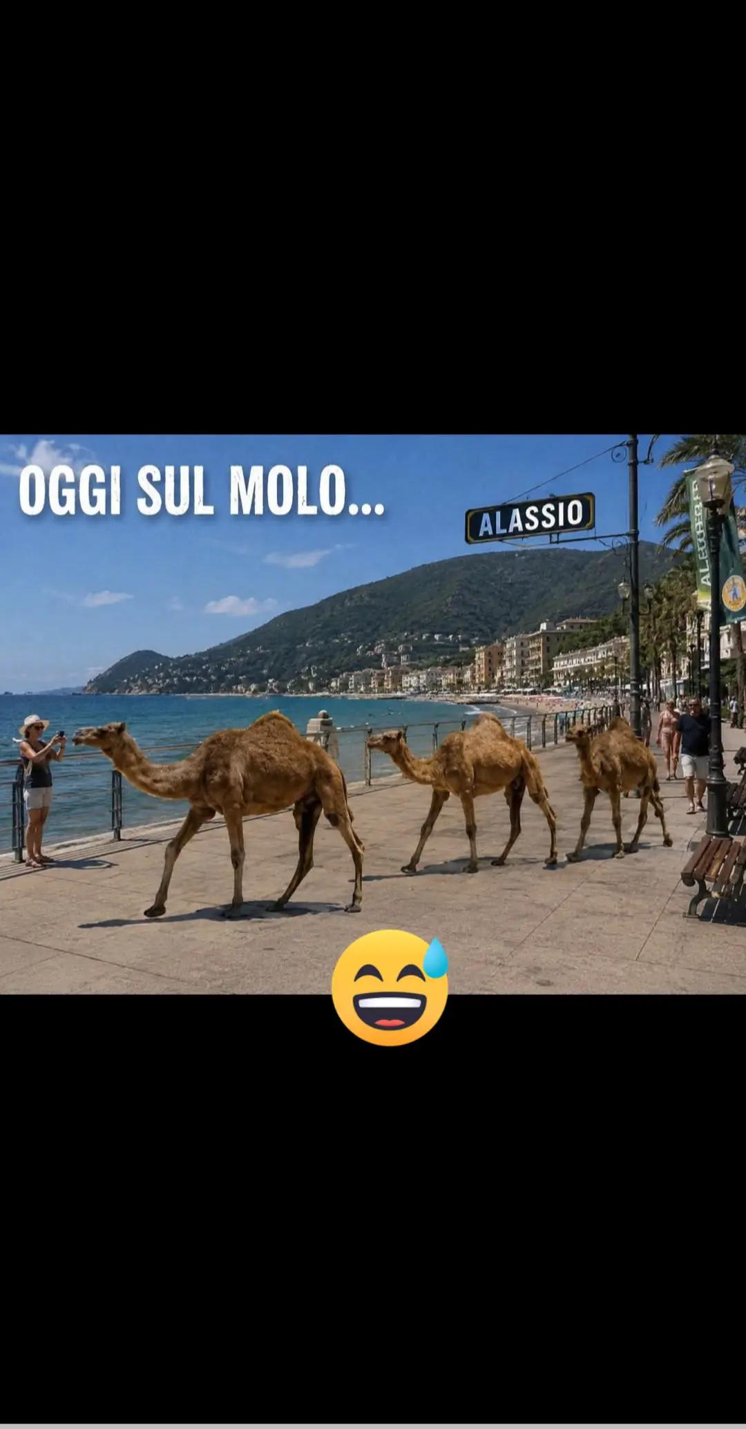 @Elisa Biondi851