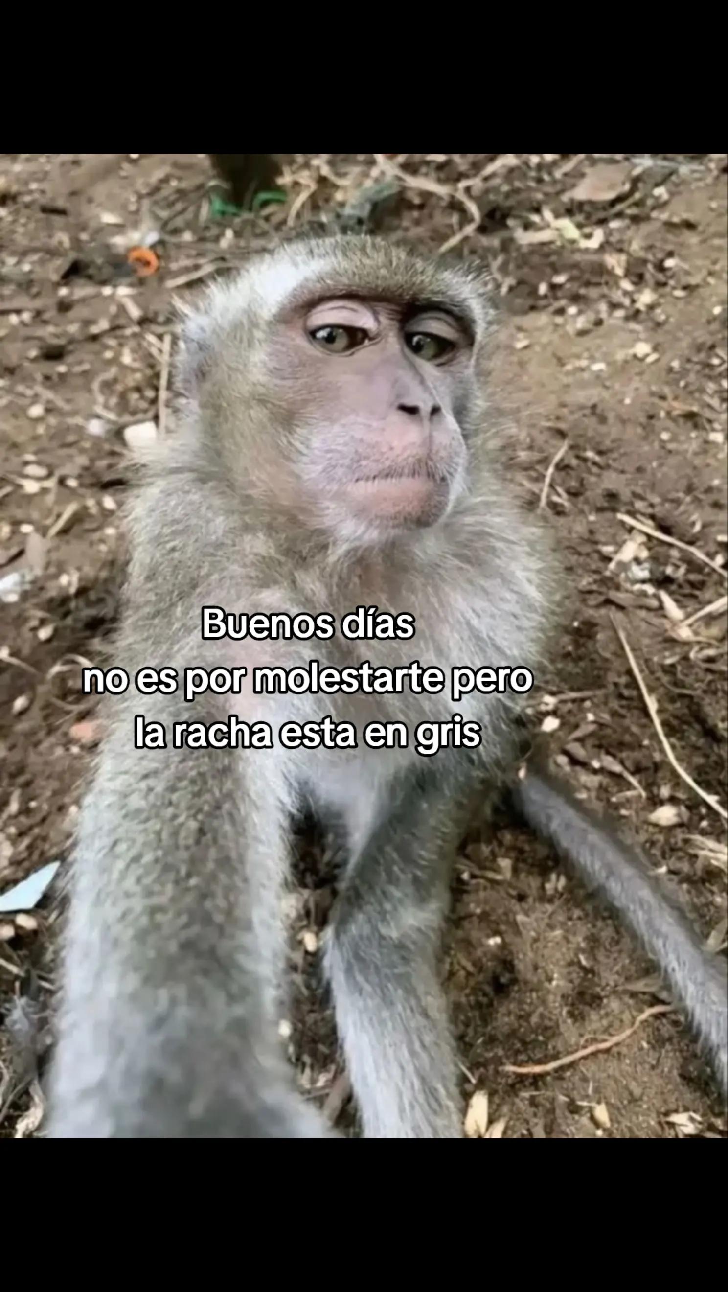 @Dani