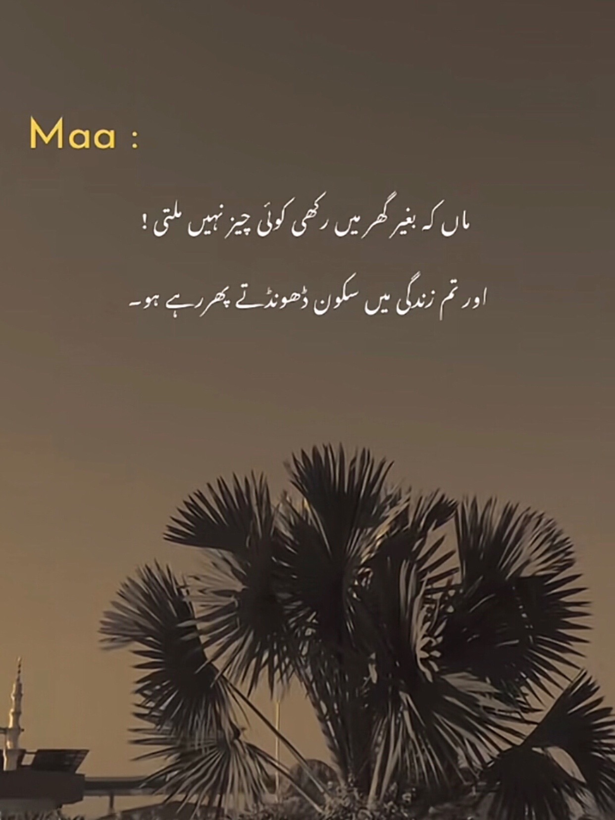 @عاطف ملک🖤