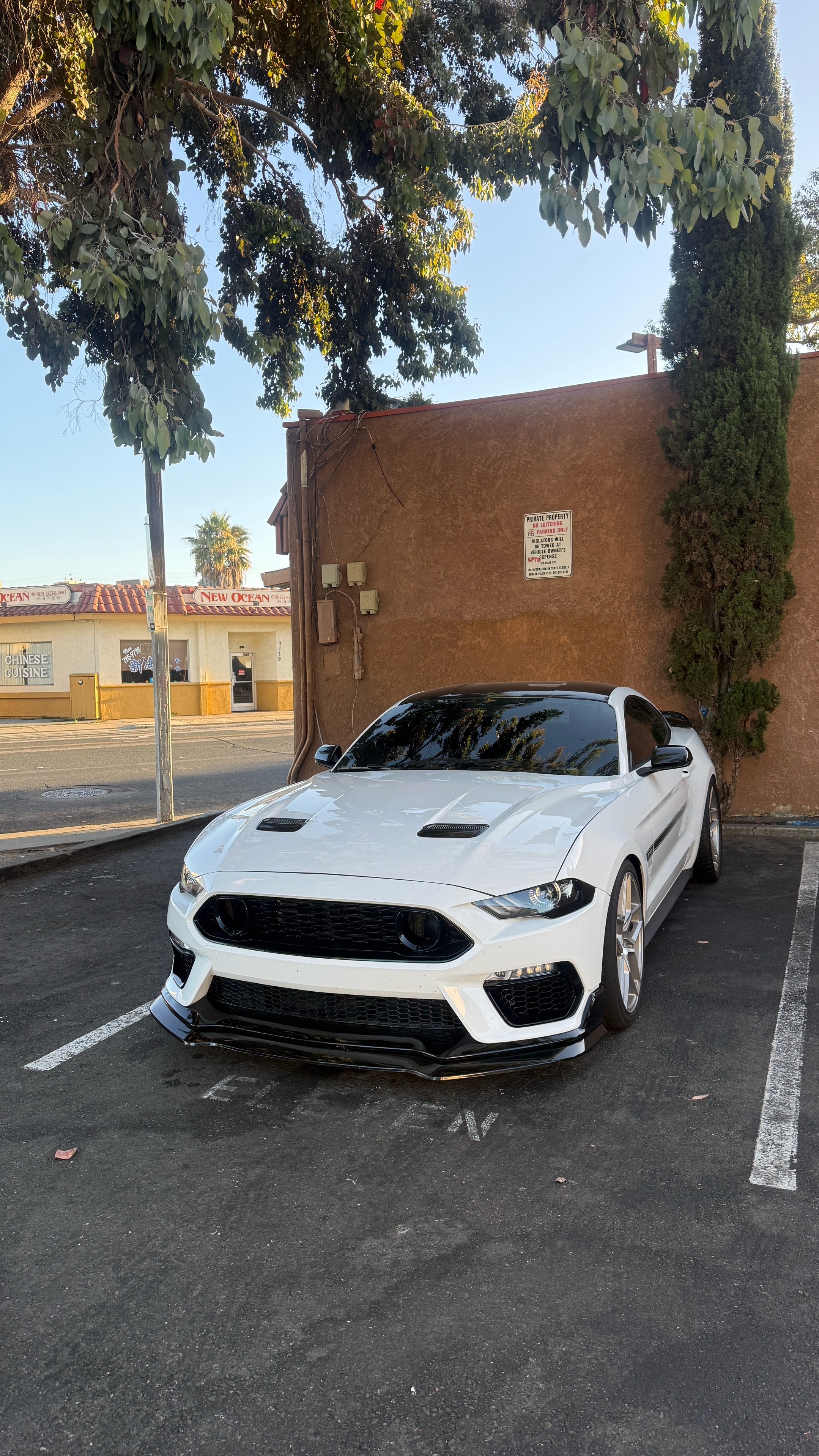 @Jalen.cs