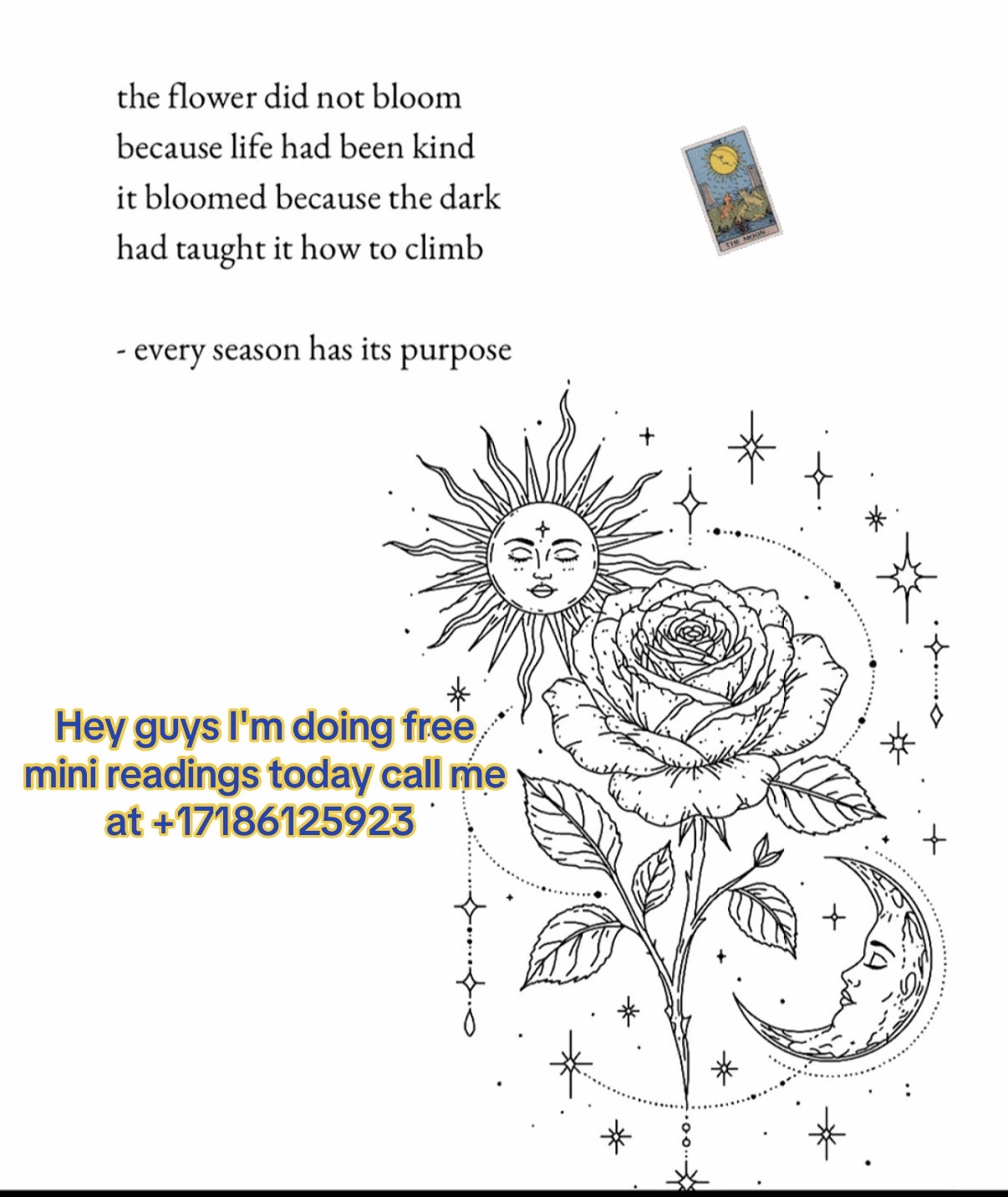 @psychic_ava_nj