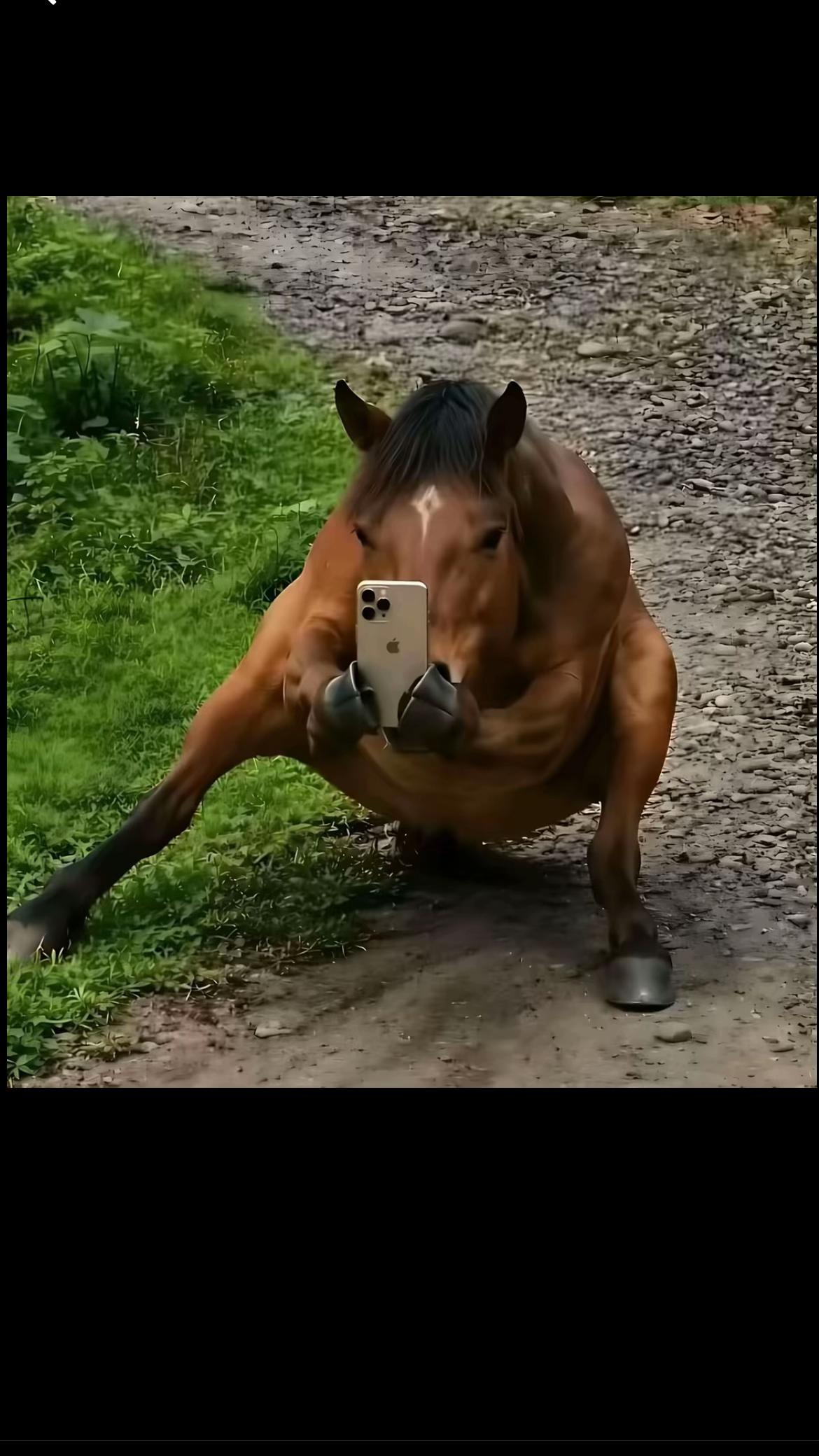 @raphfendt48