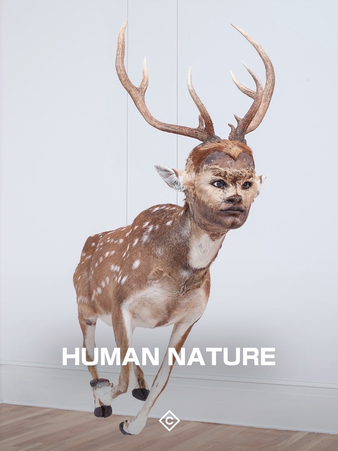 @Contemporary100