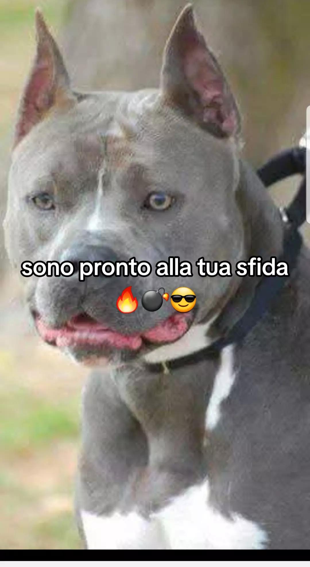 @Giovanni infantino