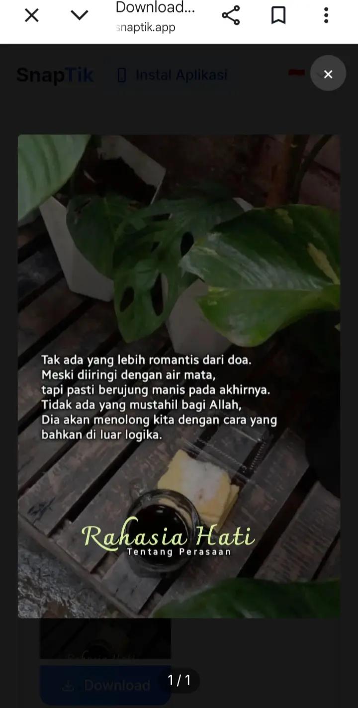 @aulia