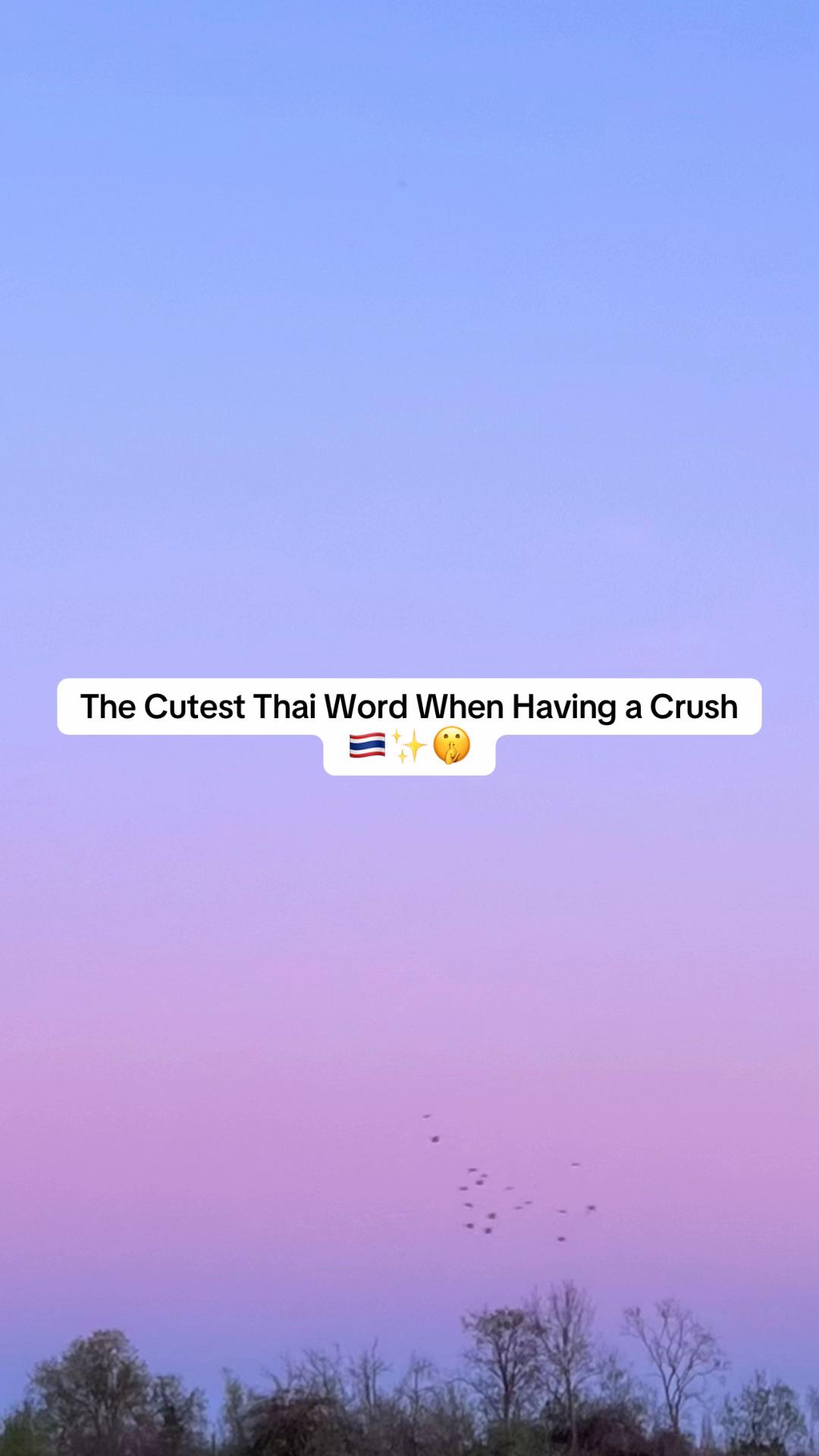 @moniCe &bull; โมนิ