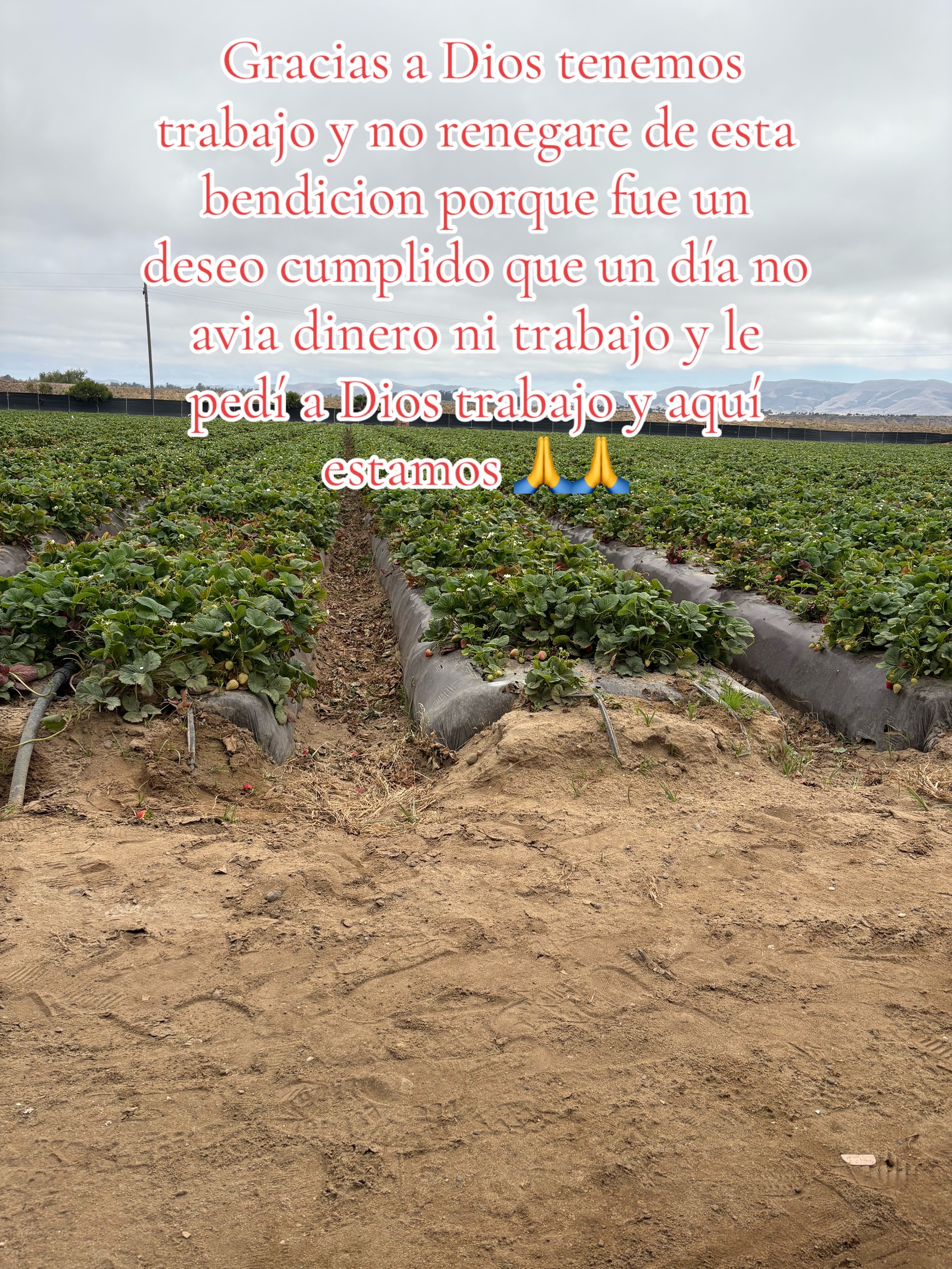 @Bere Ramirez