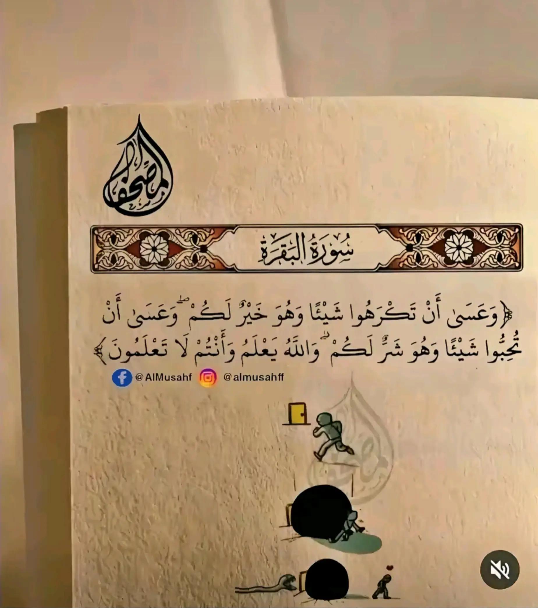 @حاجه تشرفك ان Hamoيعرفك😉