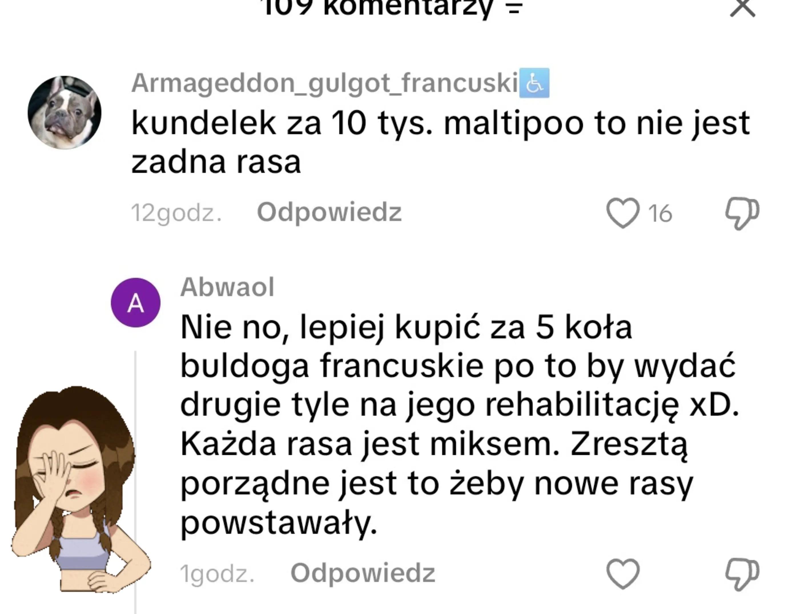 @Armageddon_gulgot_francuski♿️