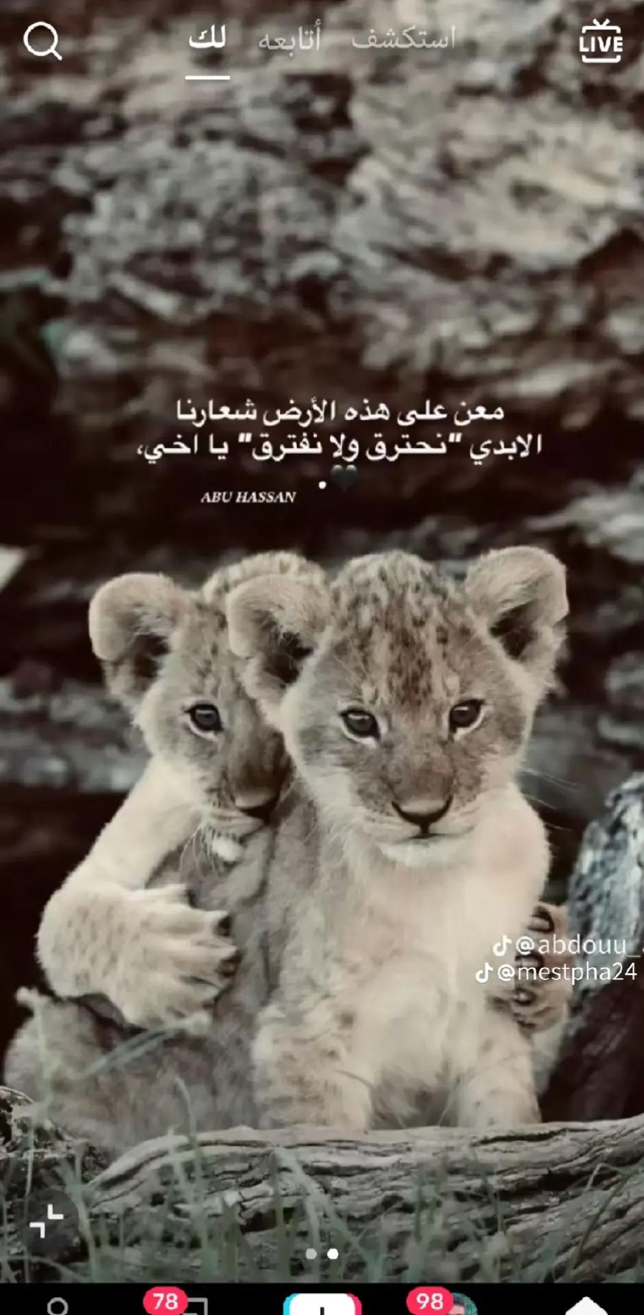@Ayoub Taghrout