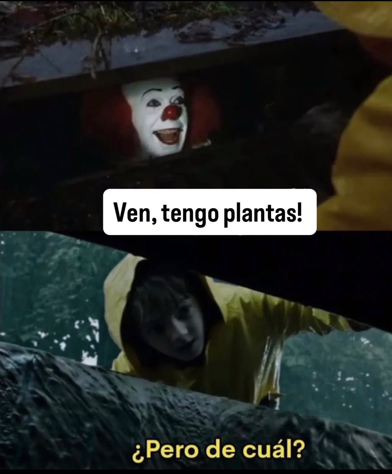 @Greenprincessliveplants