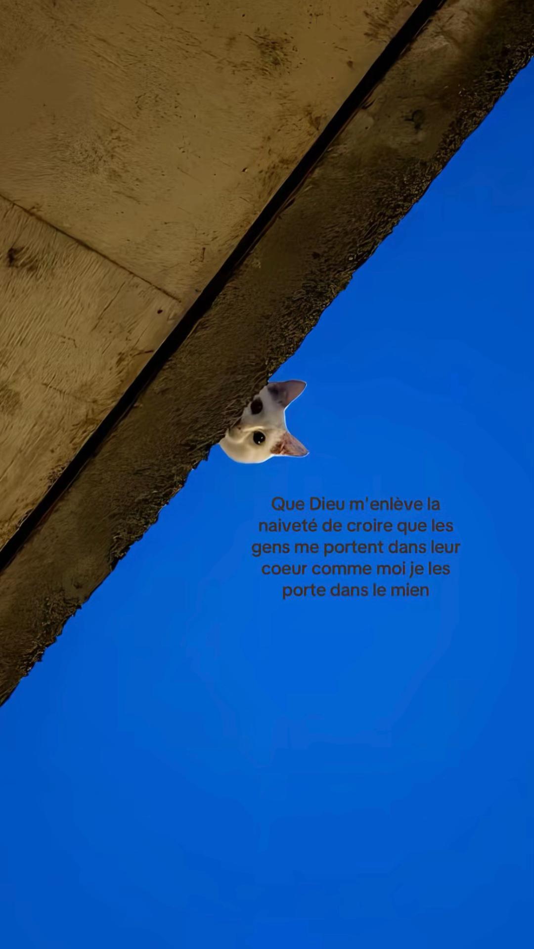 @&acute; 🎀