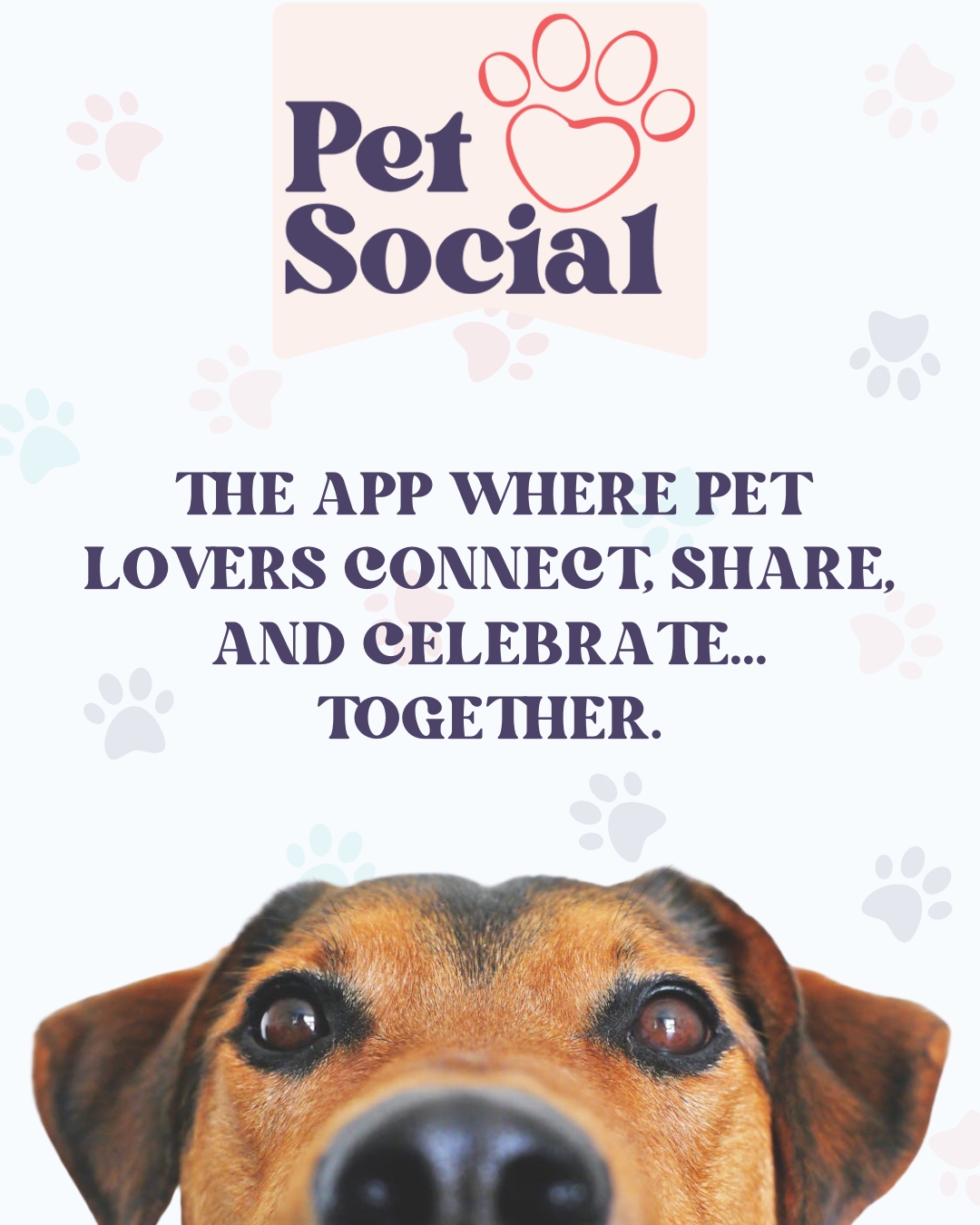 @Pet Social UK