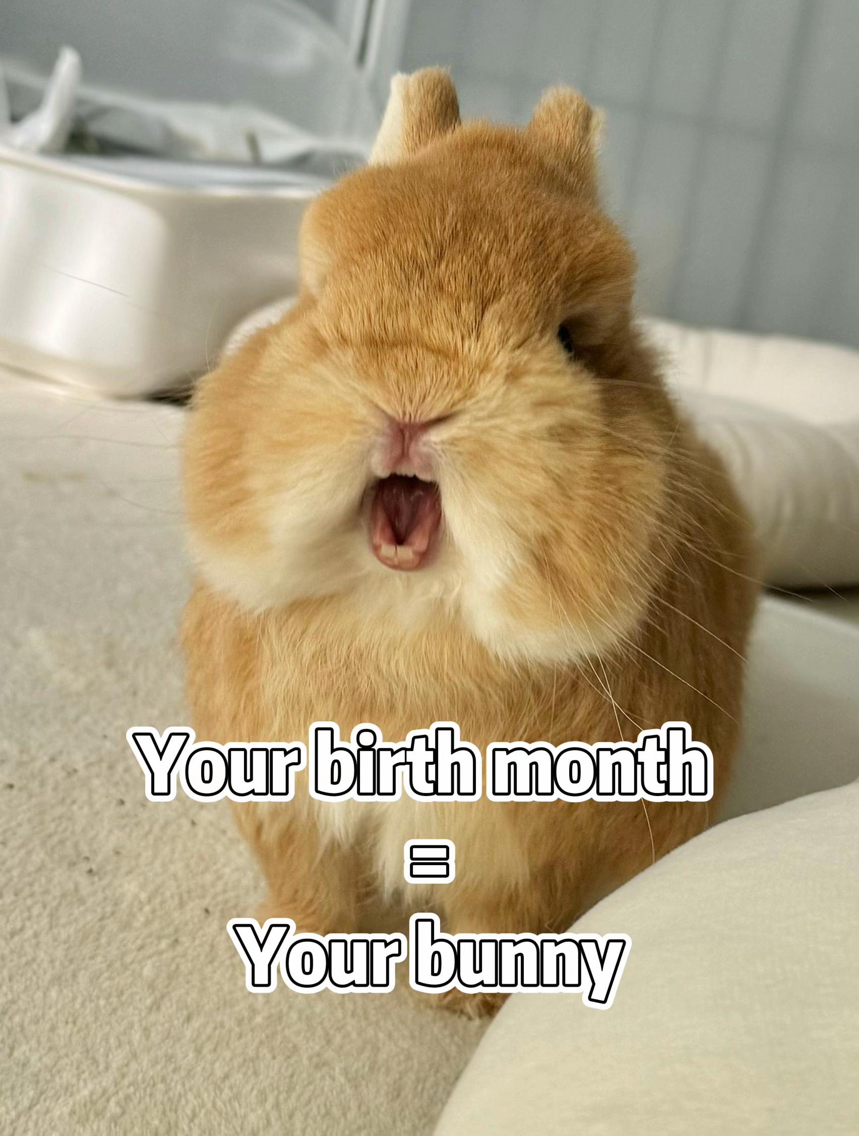 @Eggie