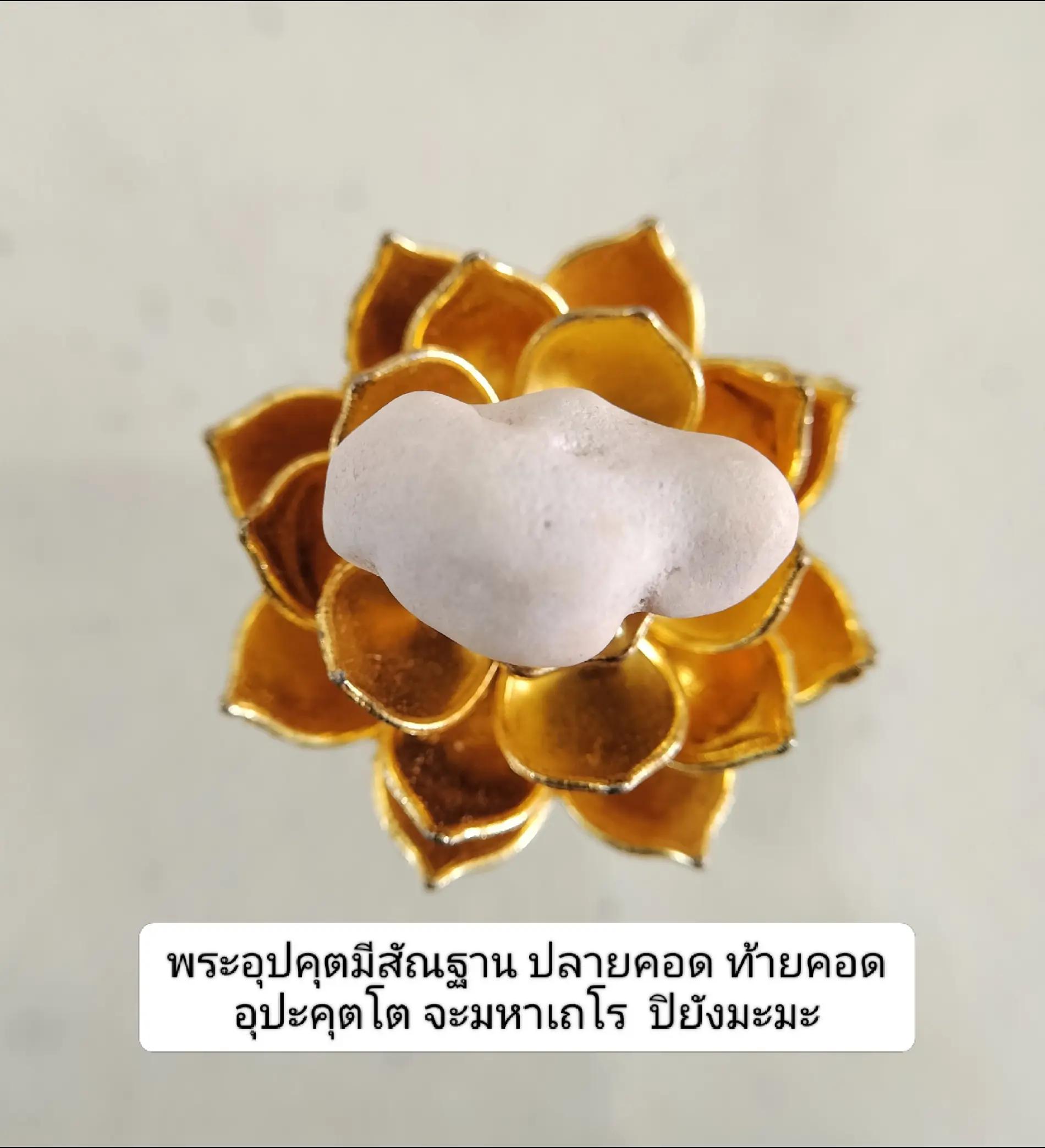 @ชมรมรักษ์พระบรมธาตุฯ