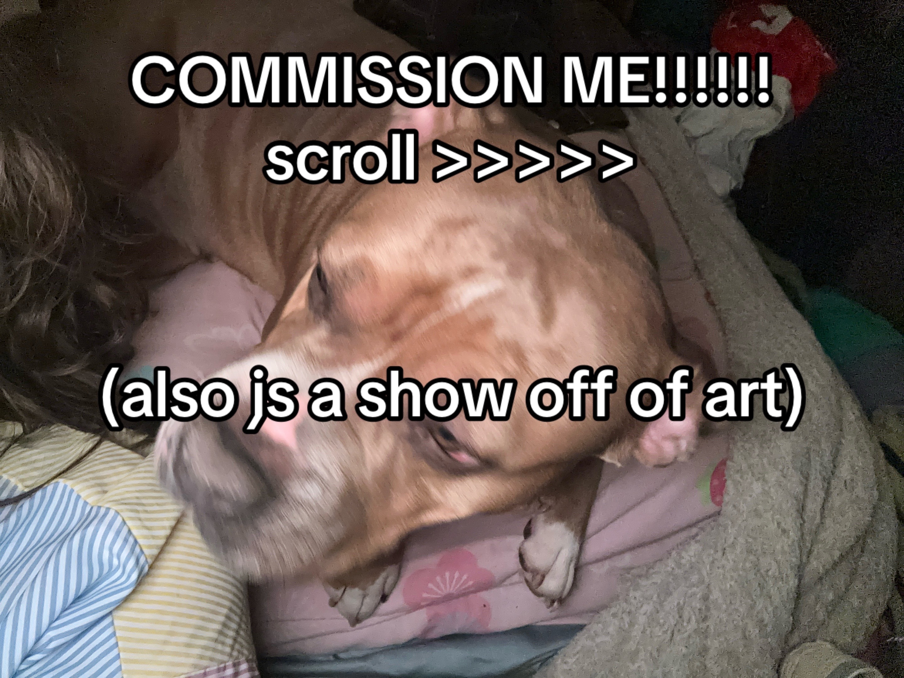 @tomzo :-) || COMMS OPEN!!!